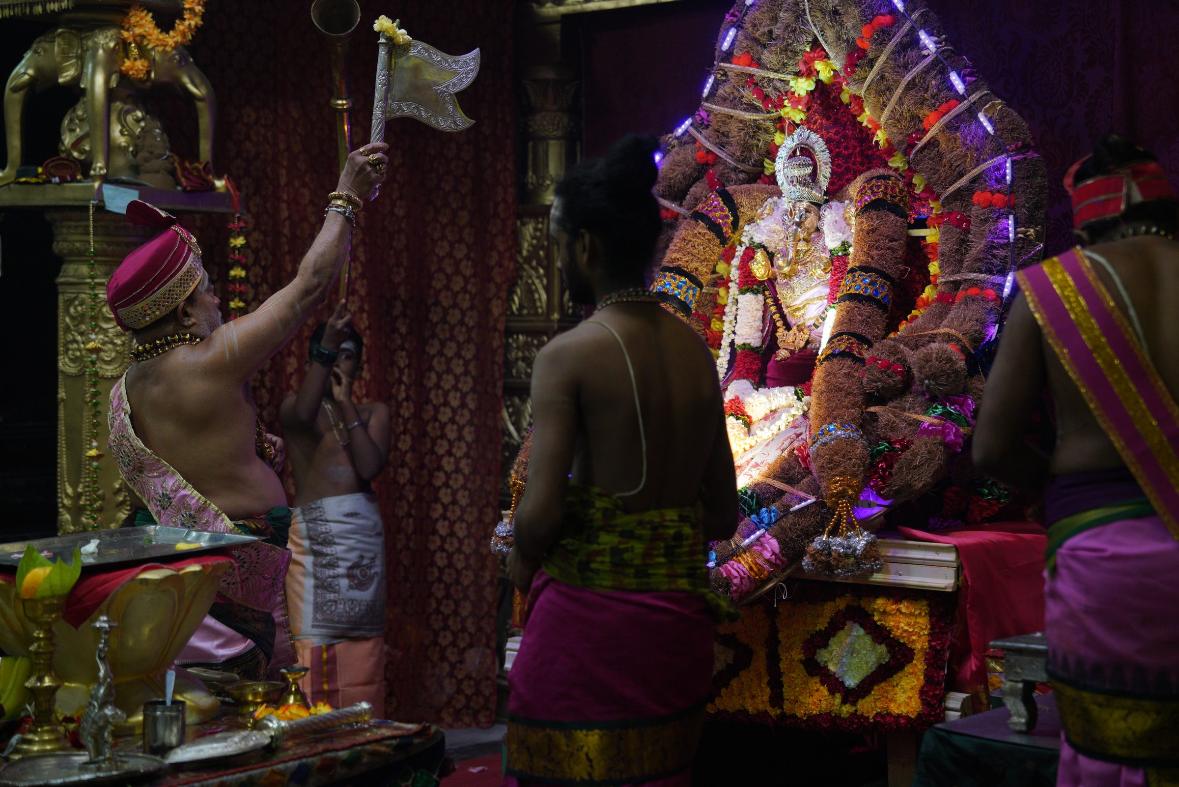 Festival 2026 photo