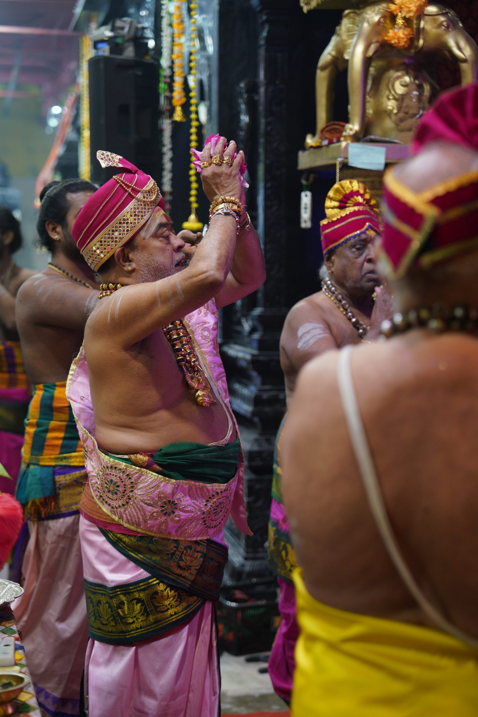 Festival 2026 photo