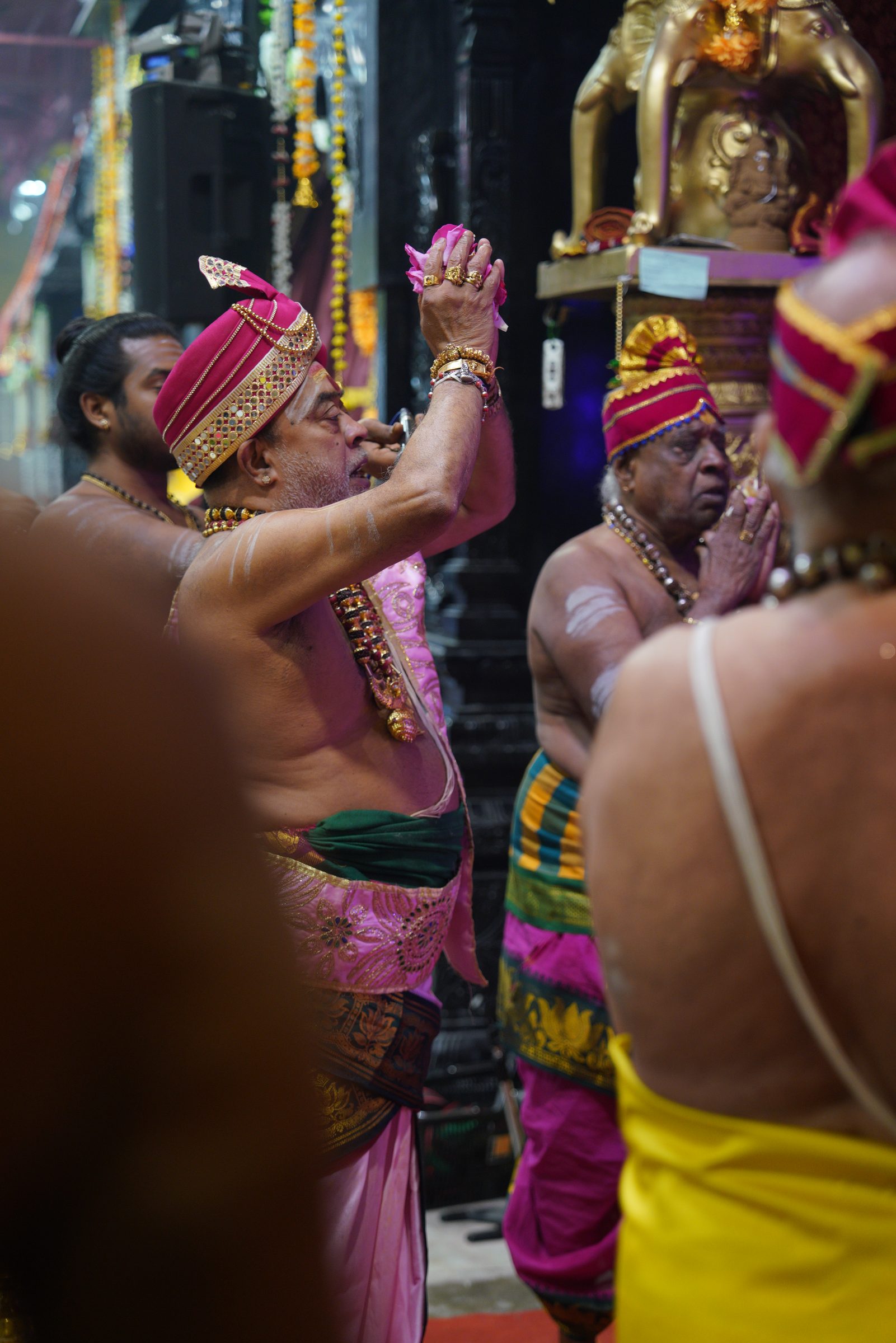 Festival 2026 photo