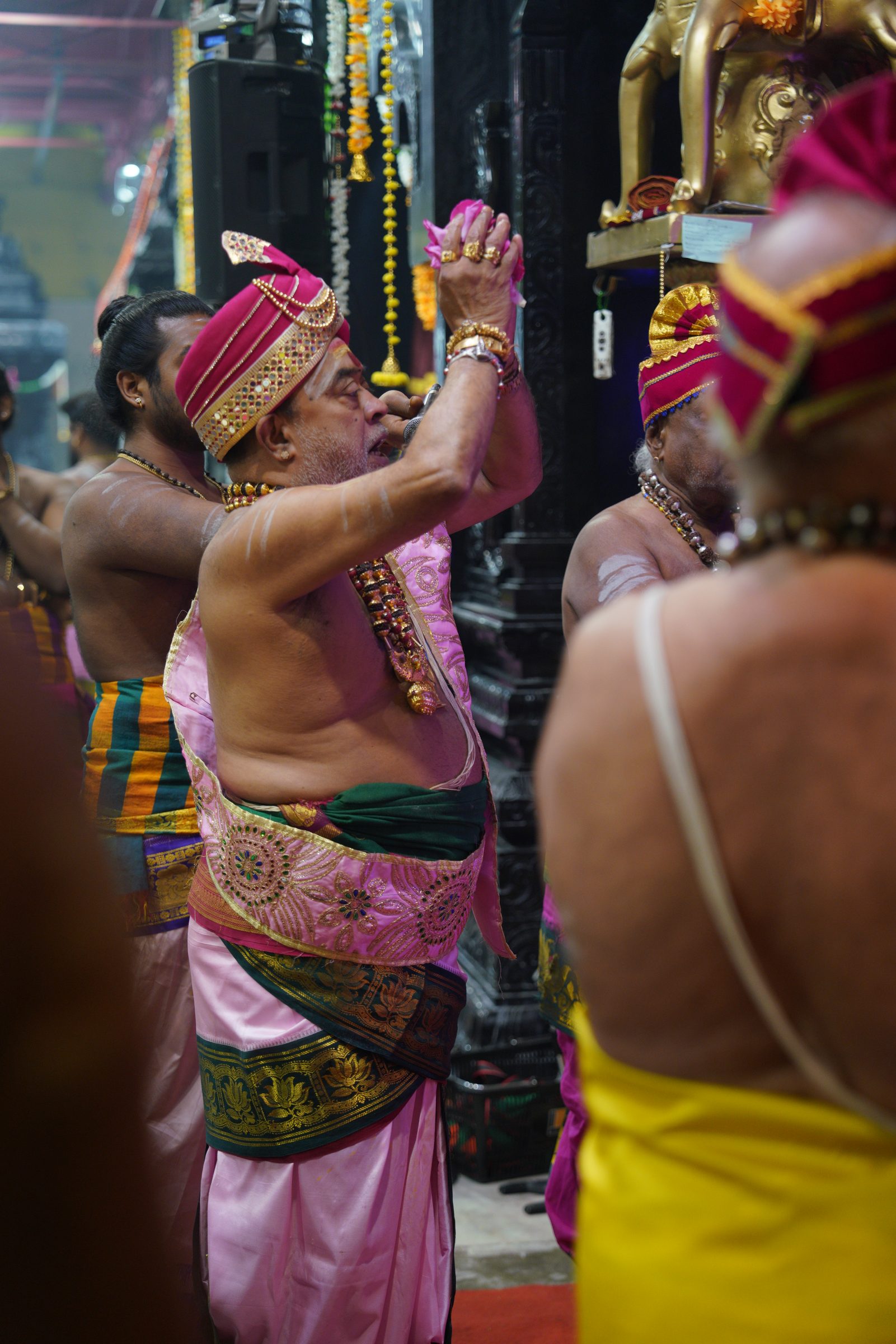 Festival 2026 photo