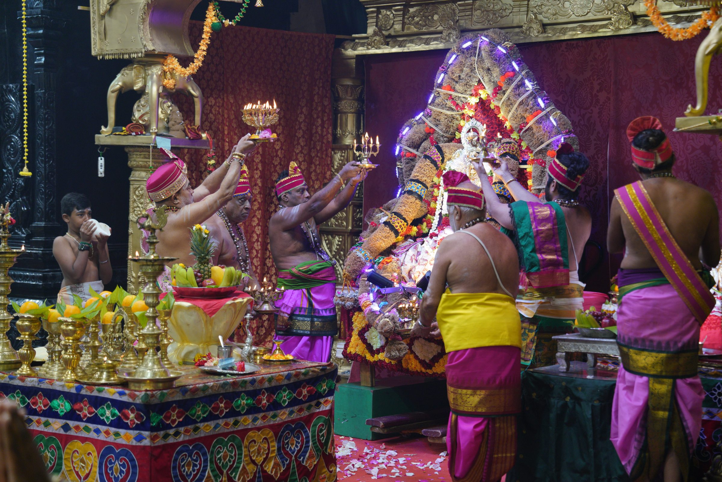 Festival 2026 photo