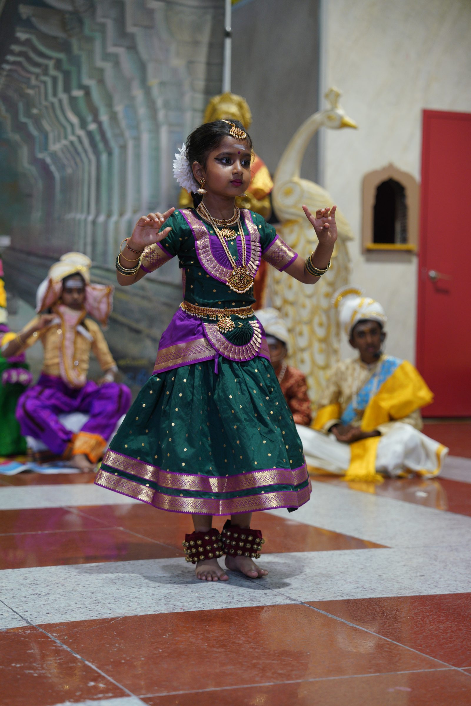 Festival 2026 photo