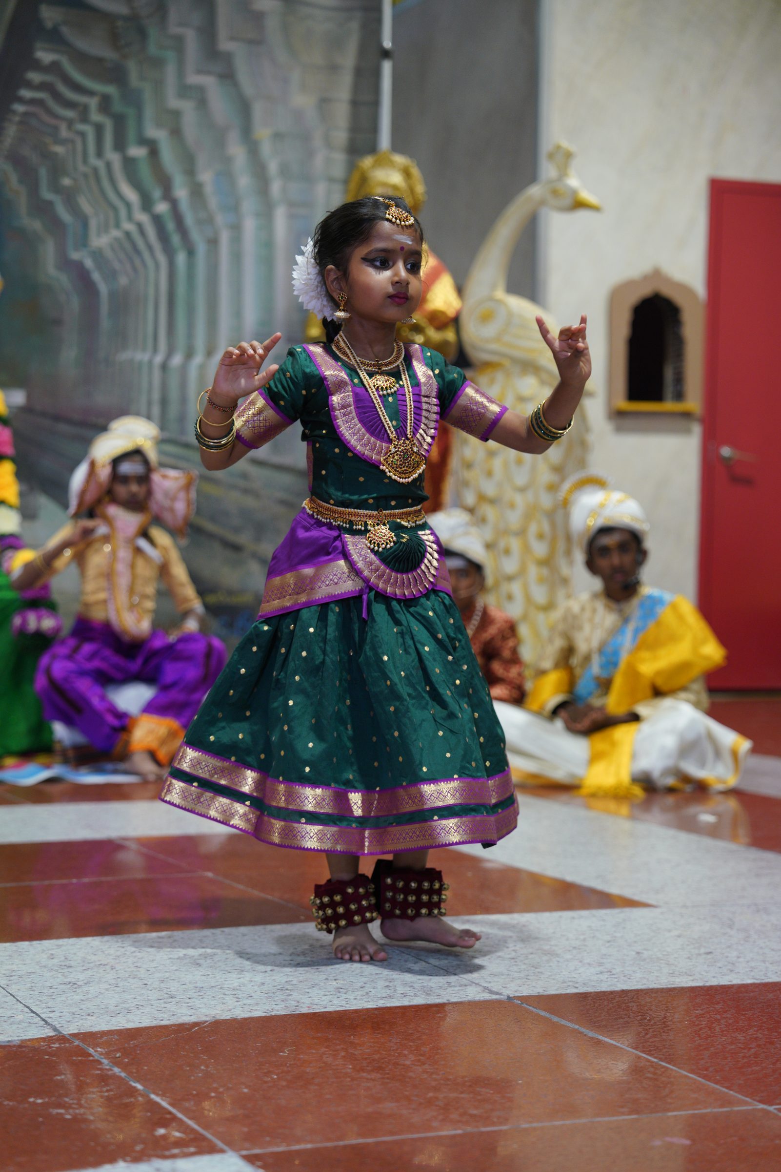 Festival 2026 photo