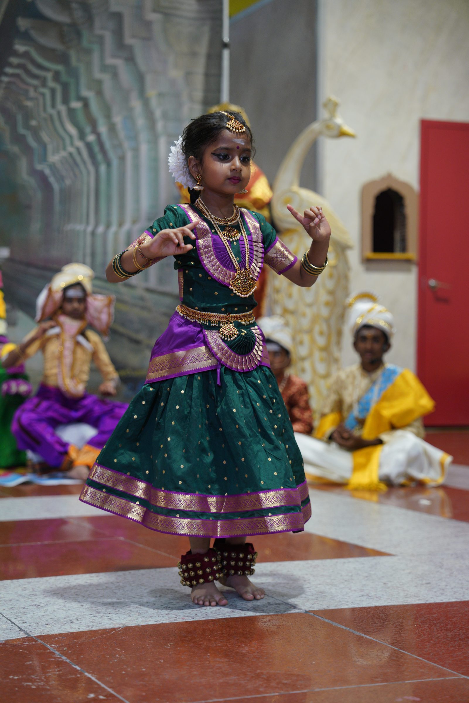 Festival 2026 photo