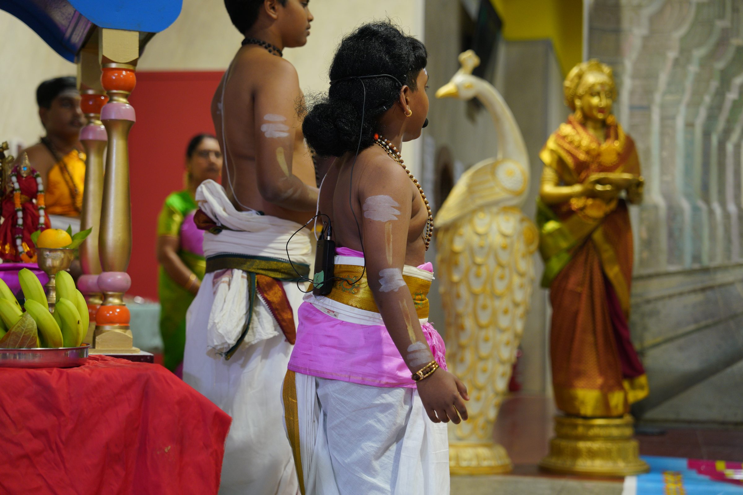 Festival 2026 photo