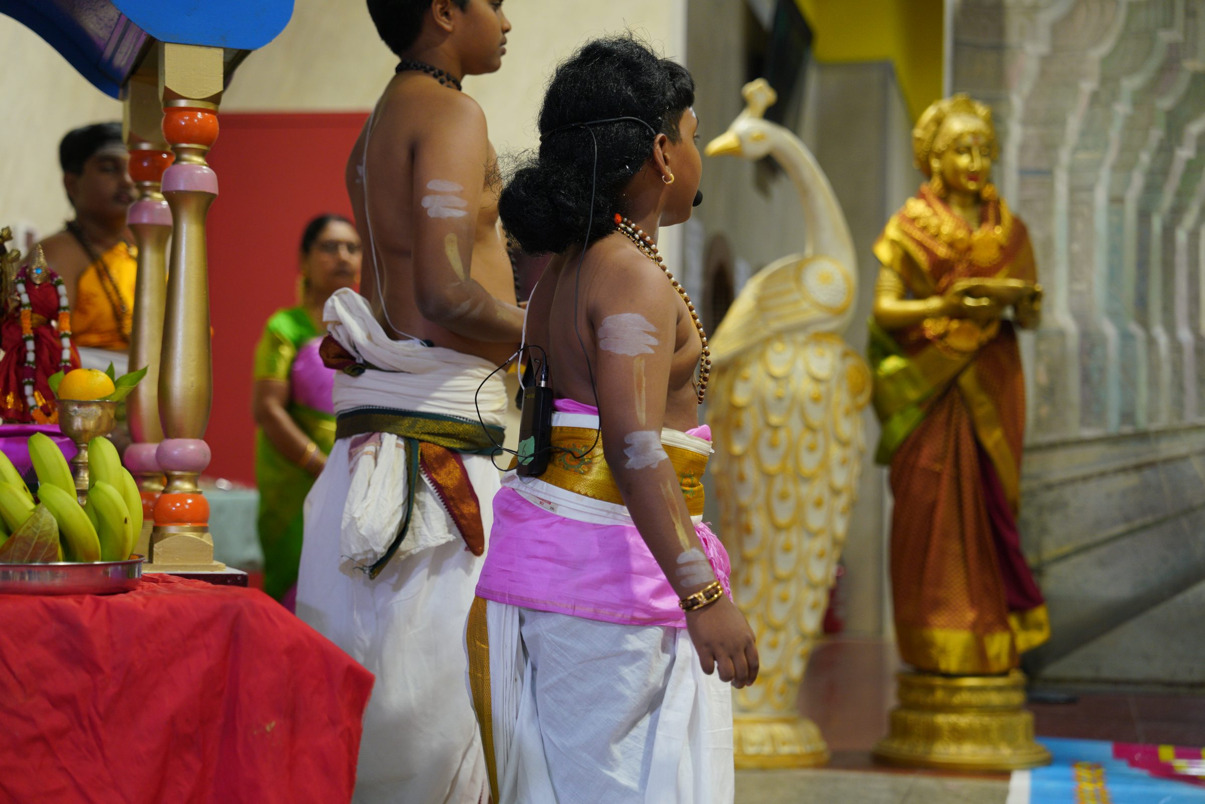 Festival 2026 photo
