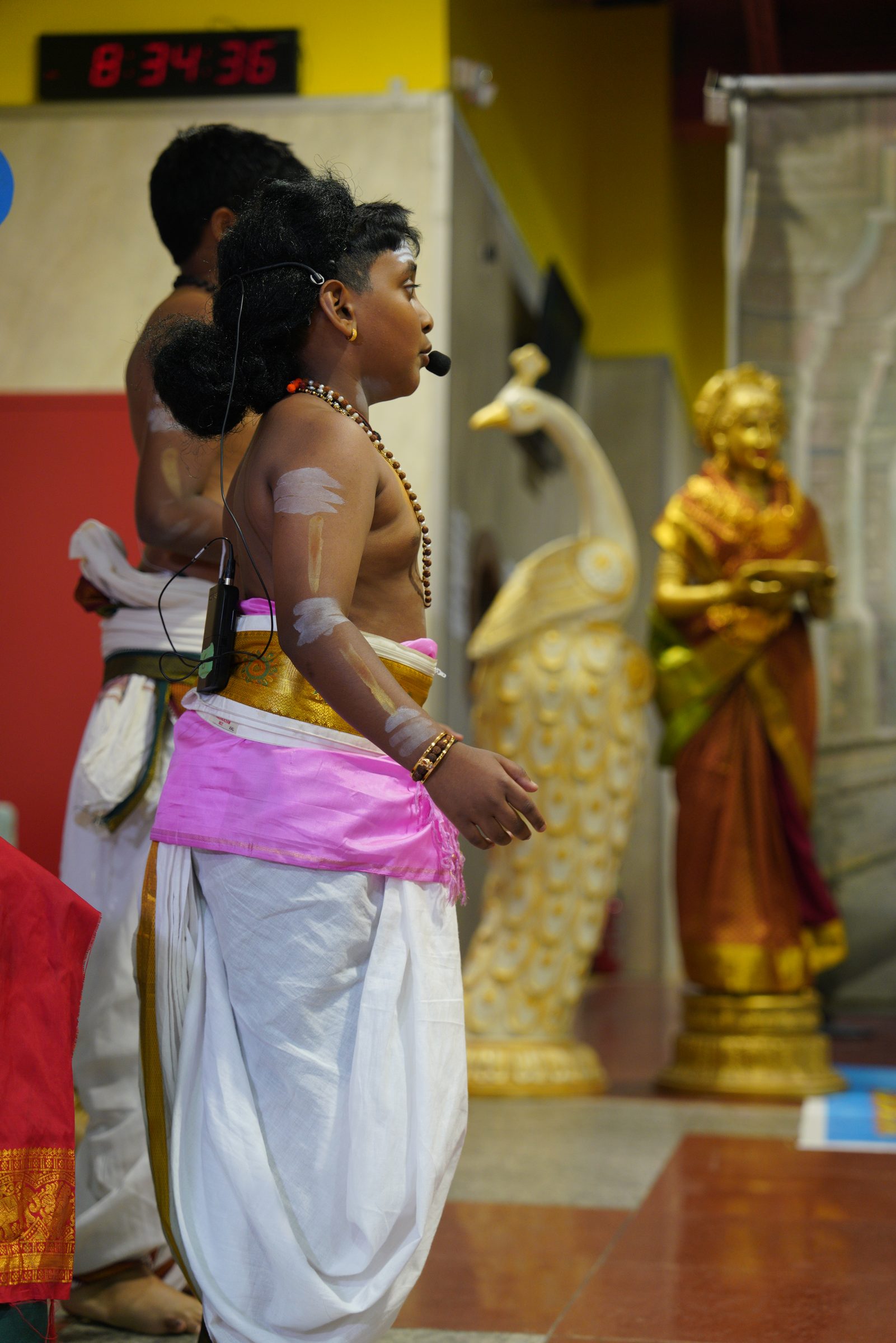 Festival 2026 photo