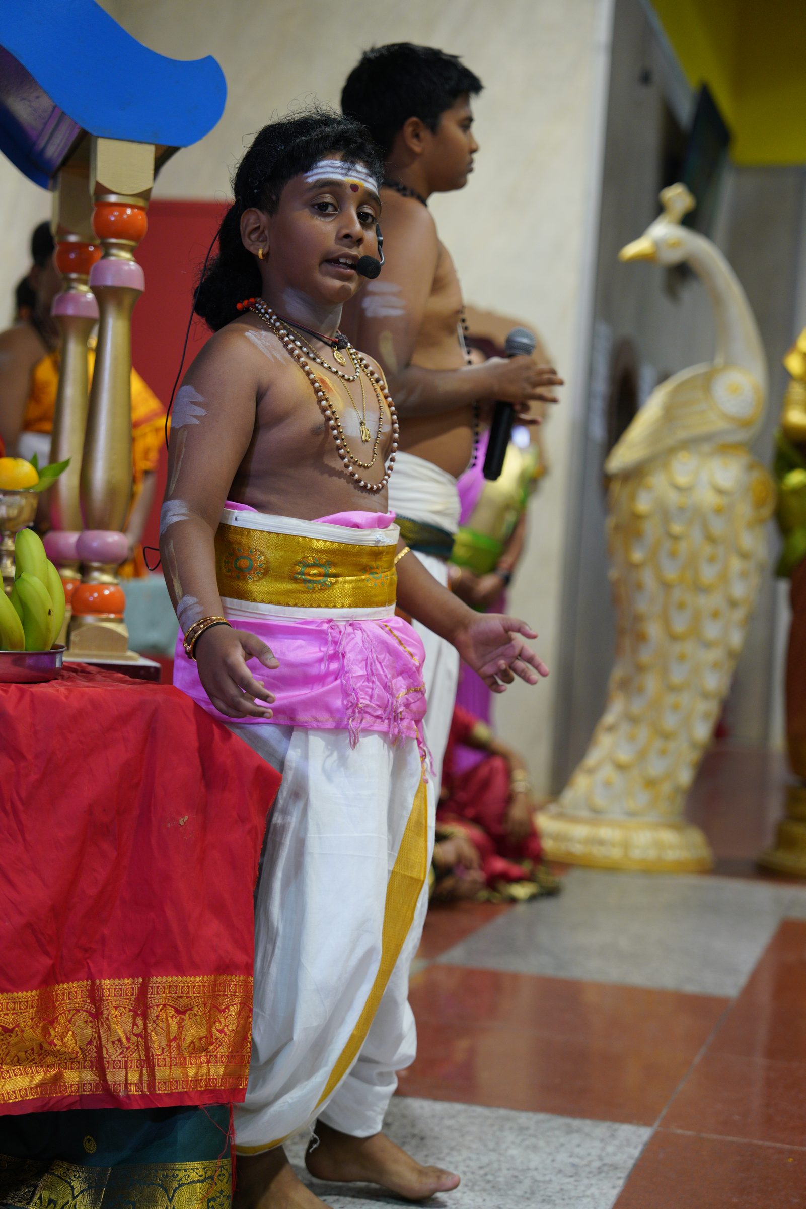 Festival 2026 photo
