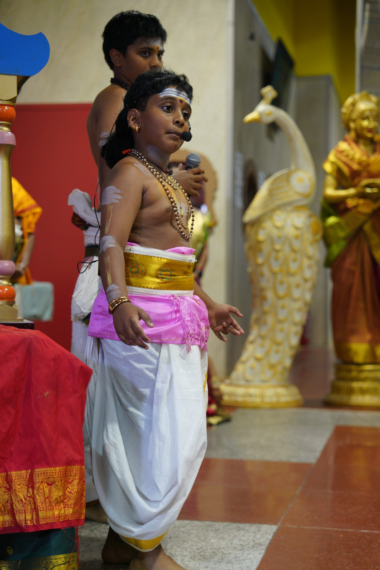 Festival 2026 photo