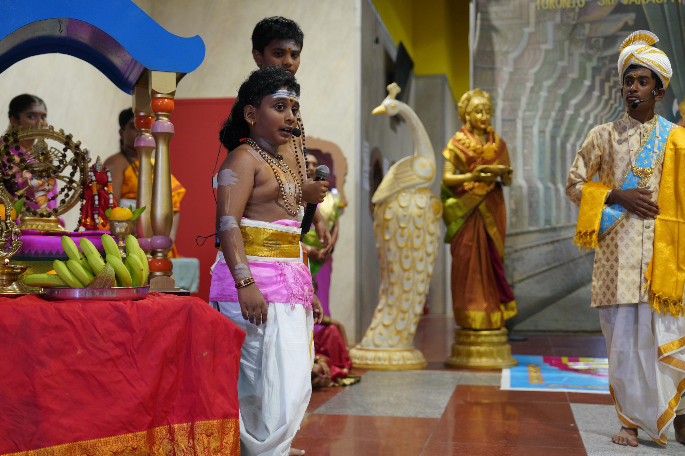 Festival 2026 photo