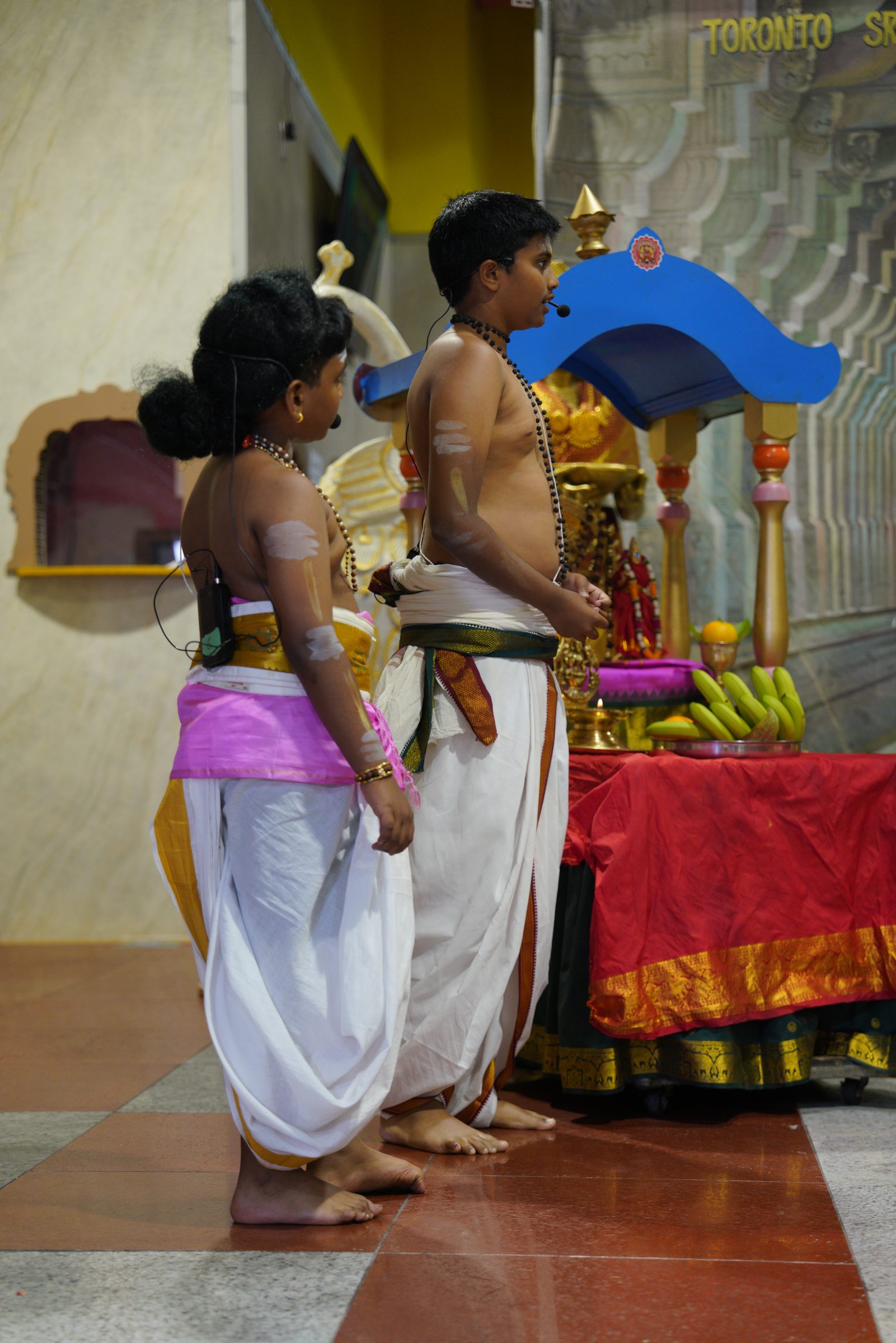 Festival 2026 photo