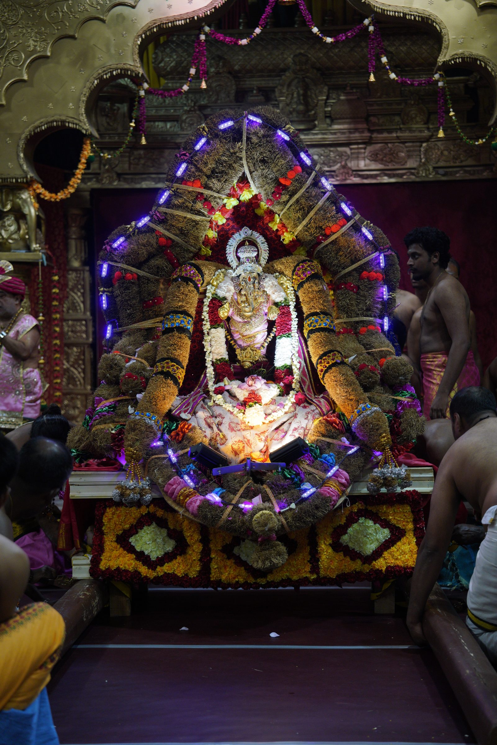 Festival 2026 photo