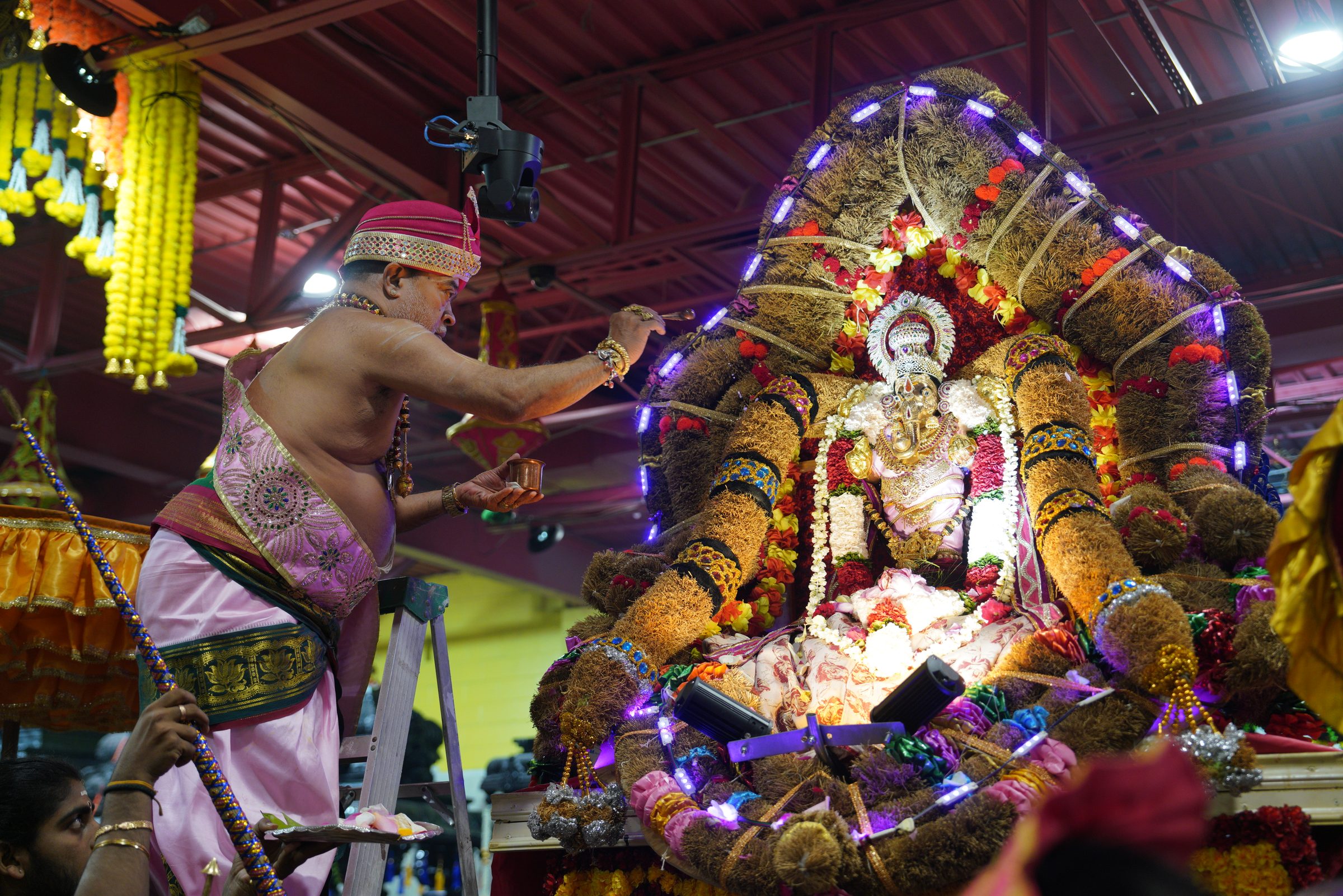Festival 2026 photo