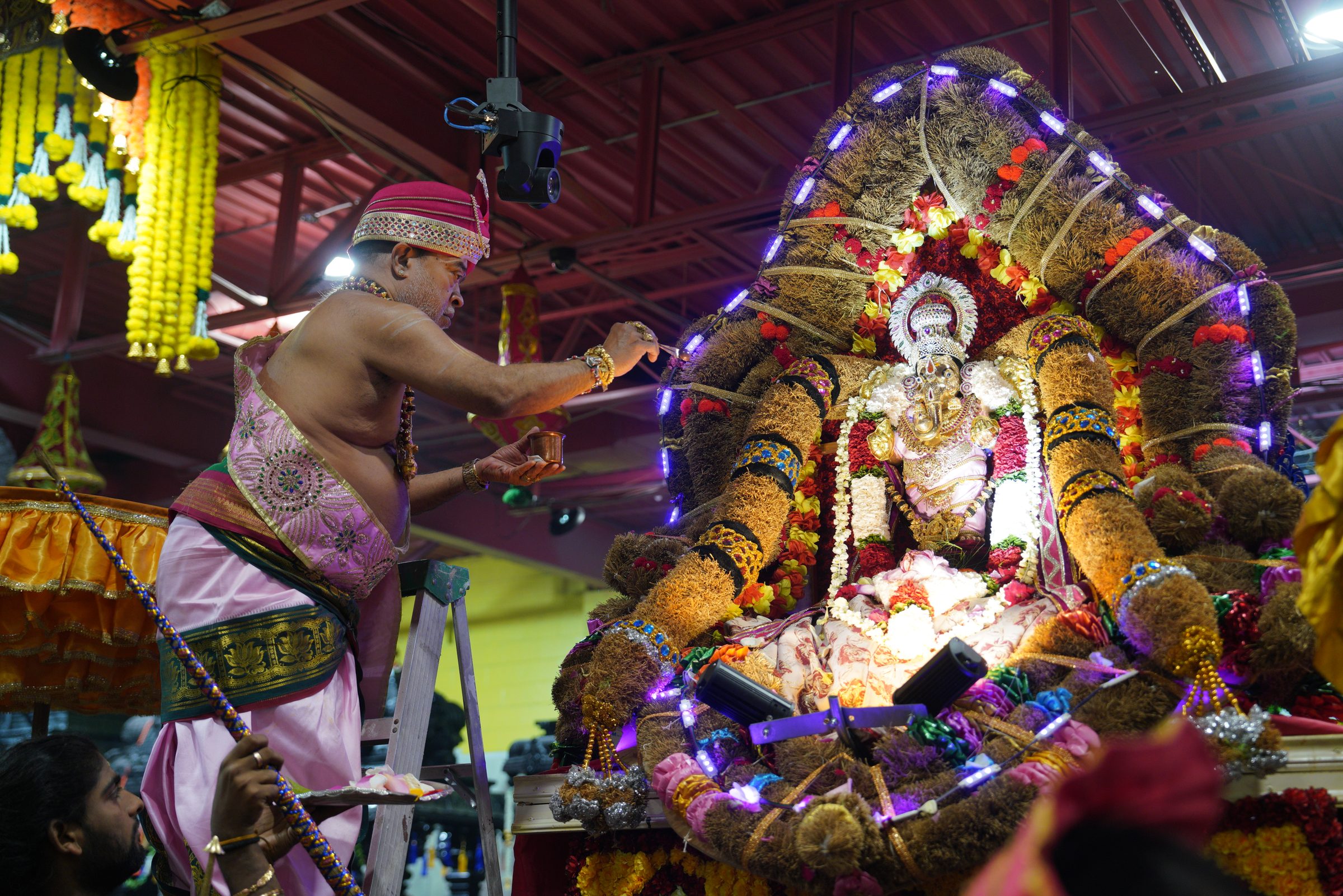 Festival 2026 photo
