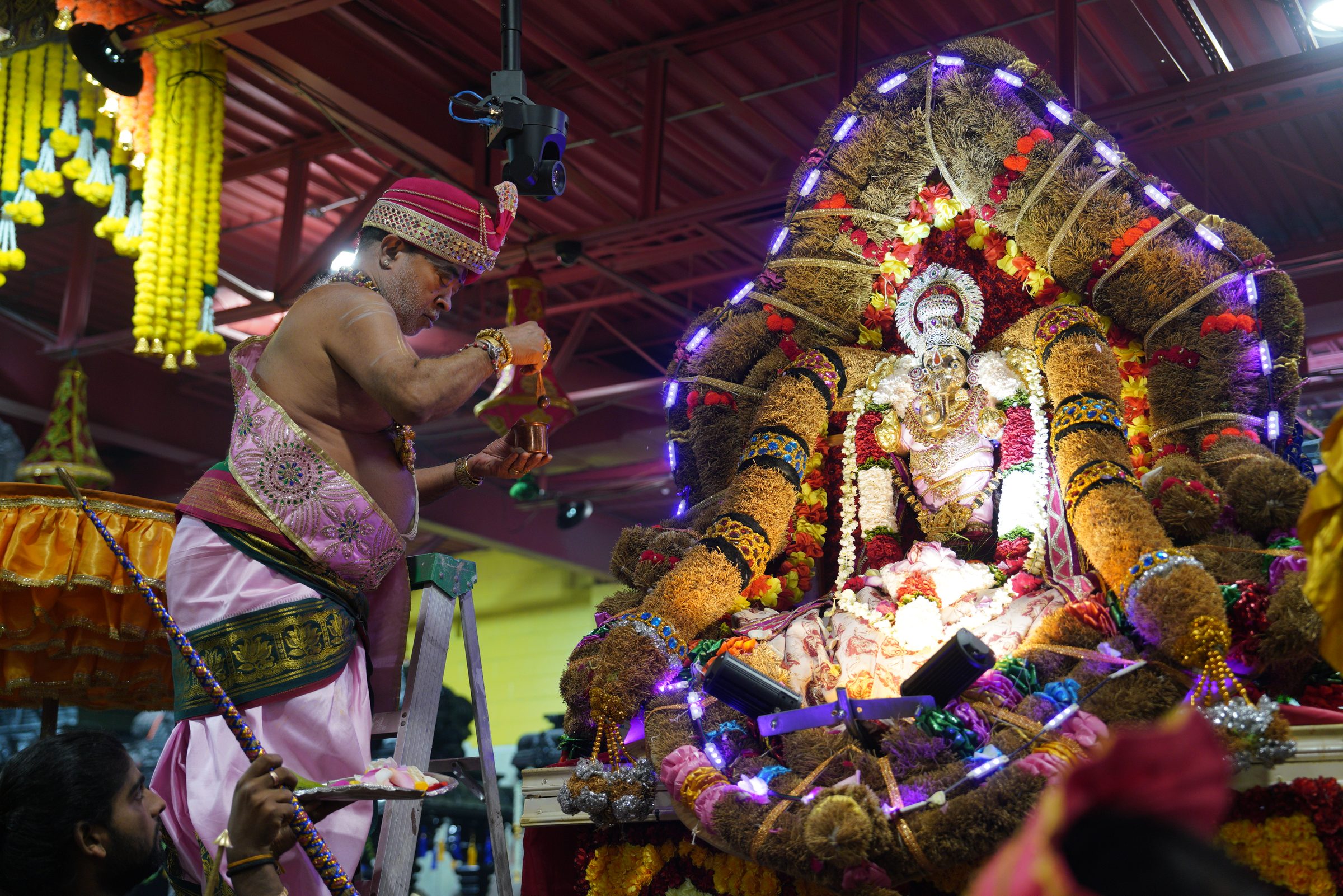 Festival 2026 photo