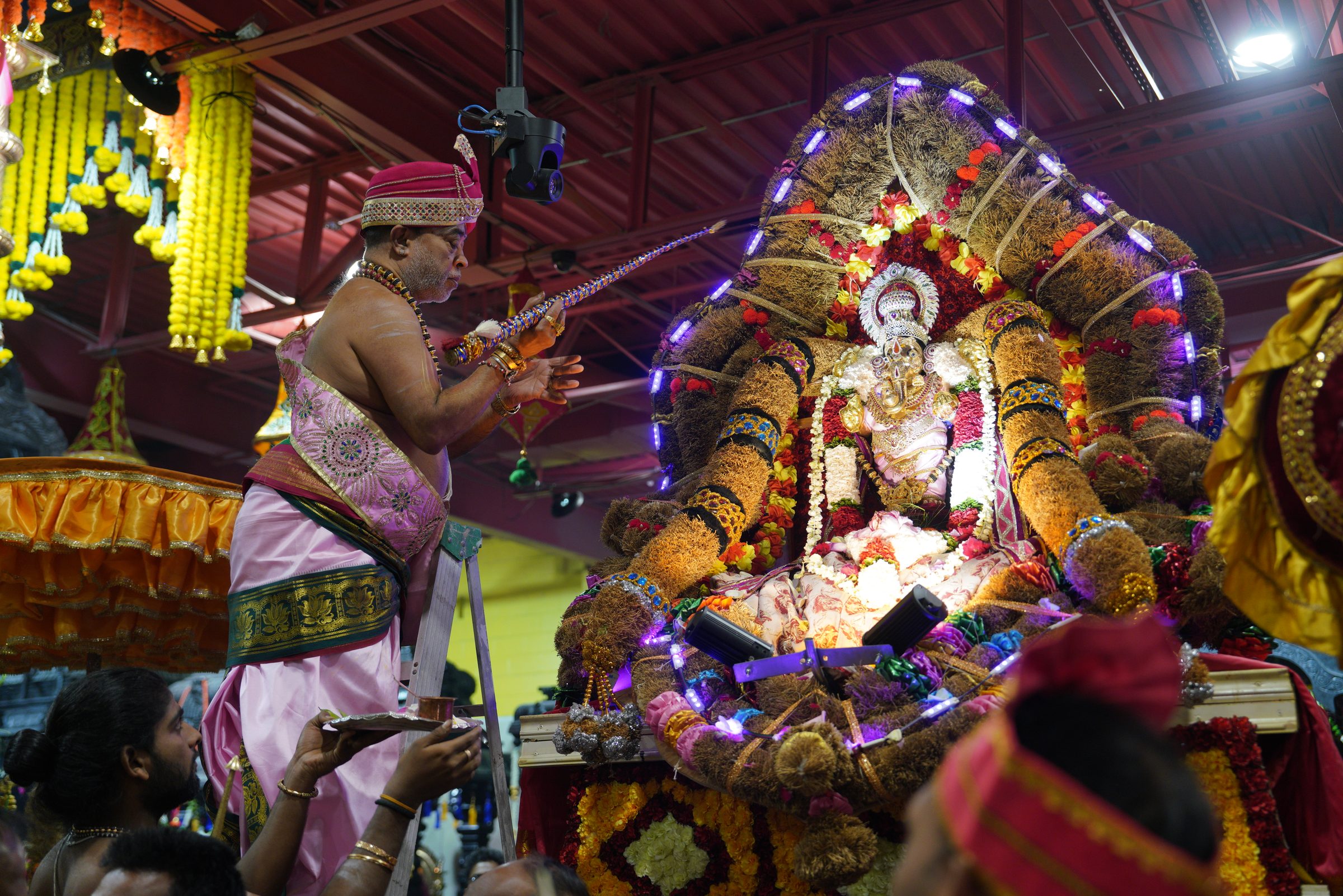 Festival 2026 photo