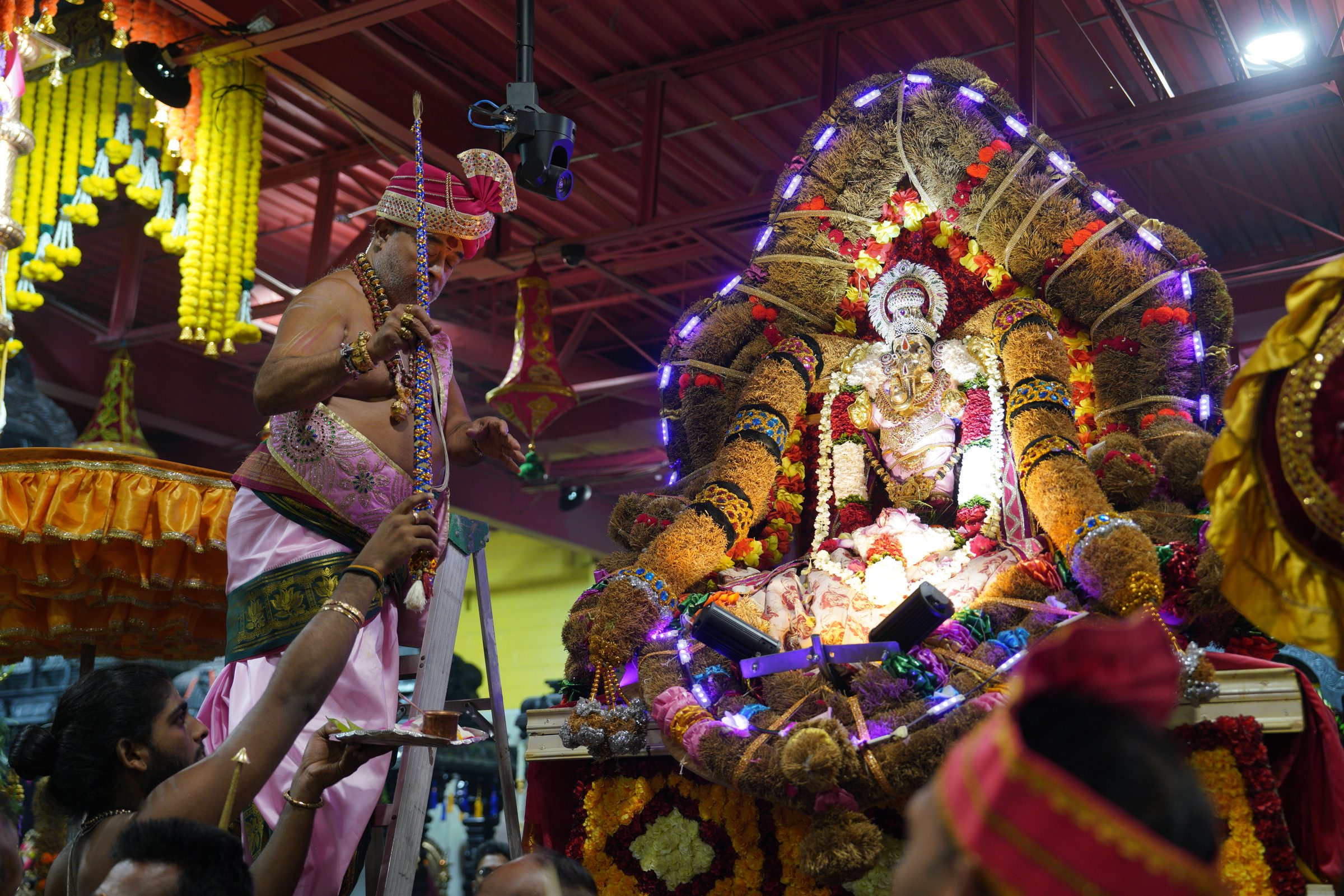 Festival 2026 photo