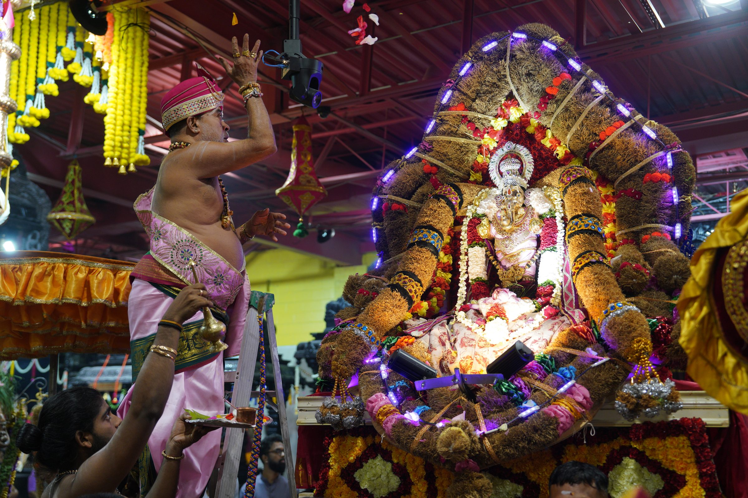 Festival 2026 photo