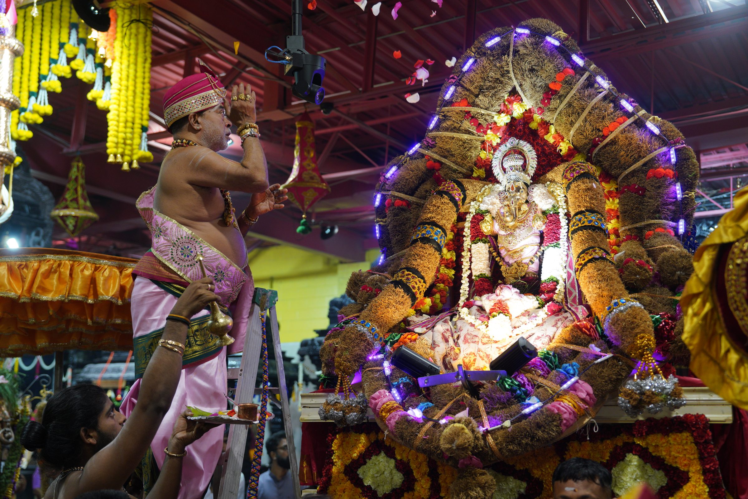 Festival 2026 photo