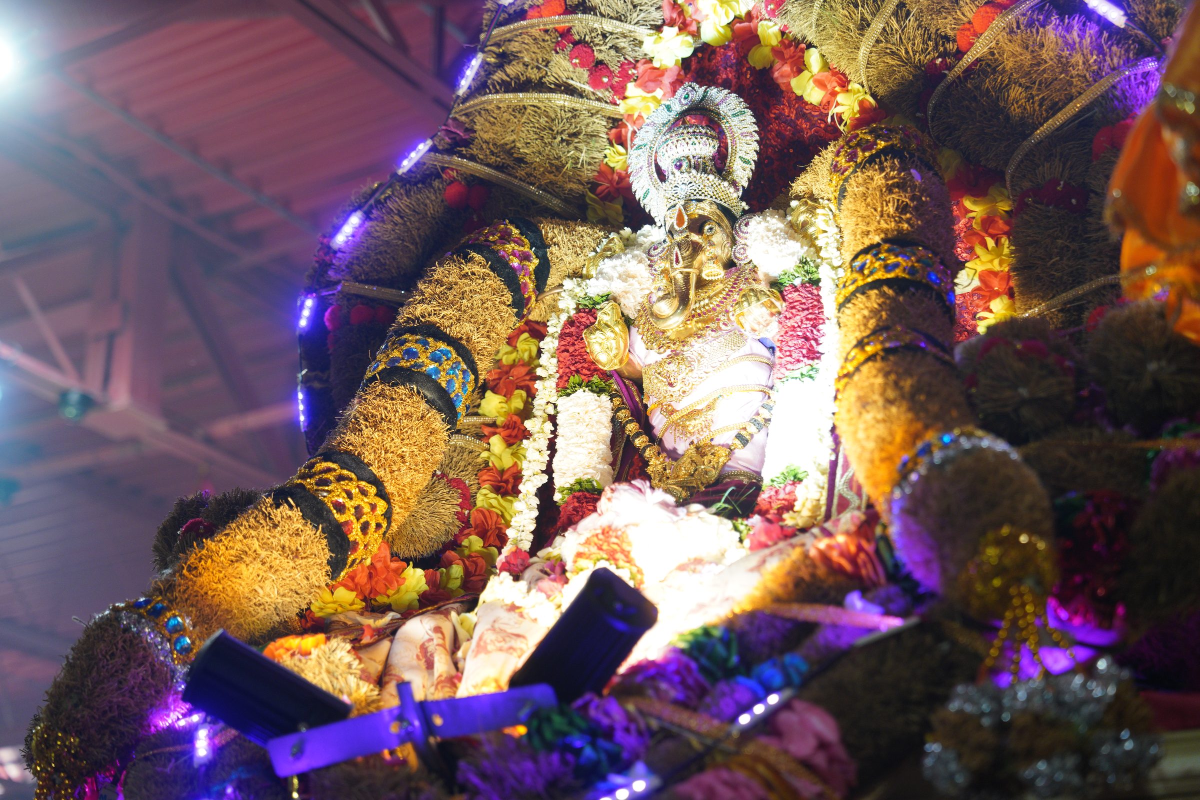 Festival 2026 photo