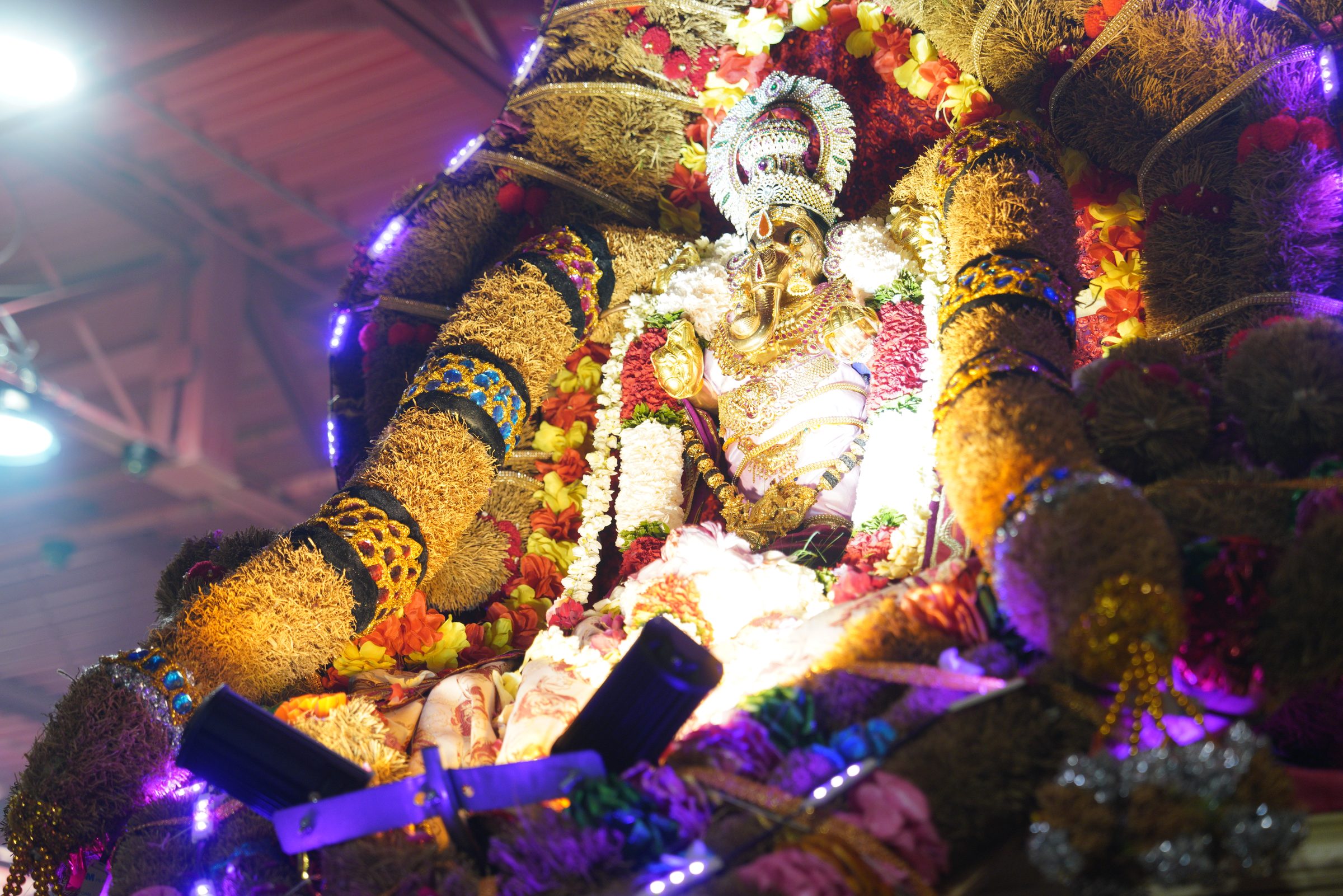 Festival 2026 photo
