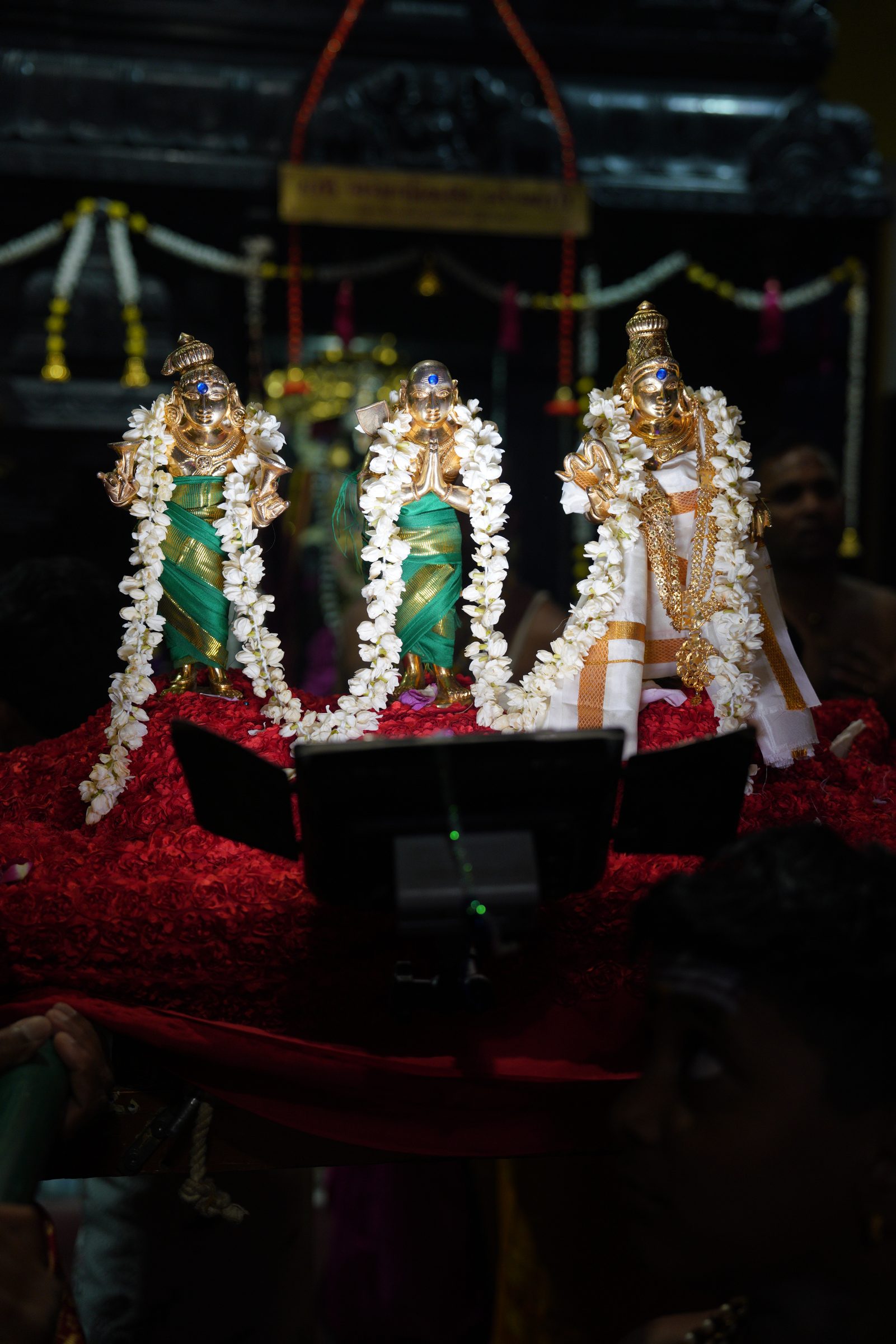 Festival 2026 photo