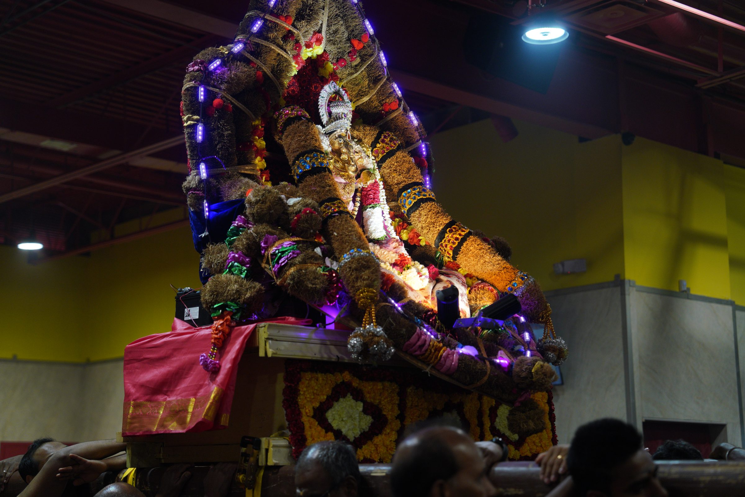 Festival 2026 photo