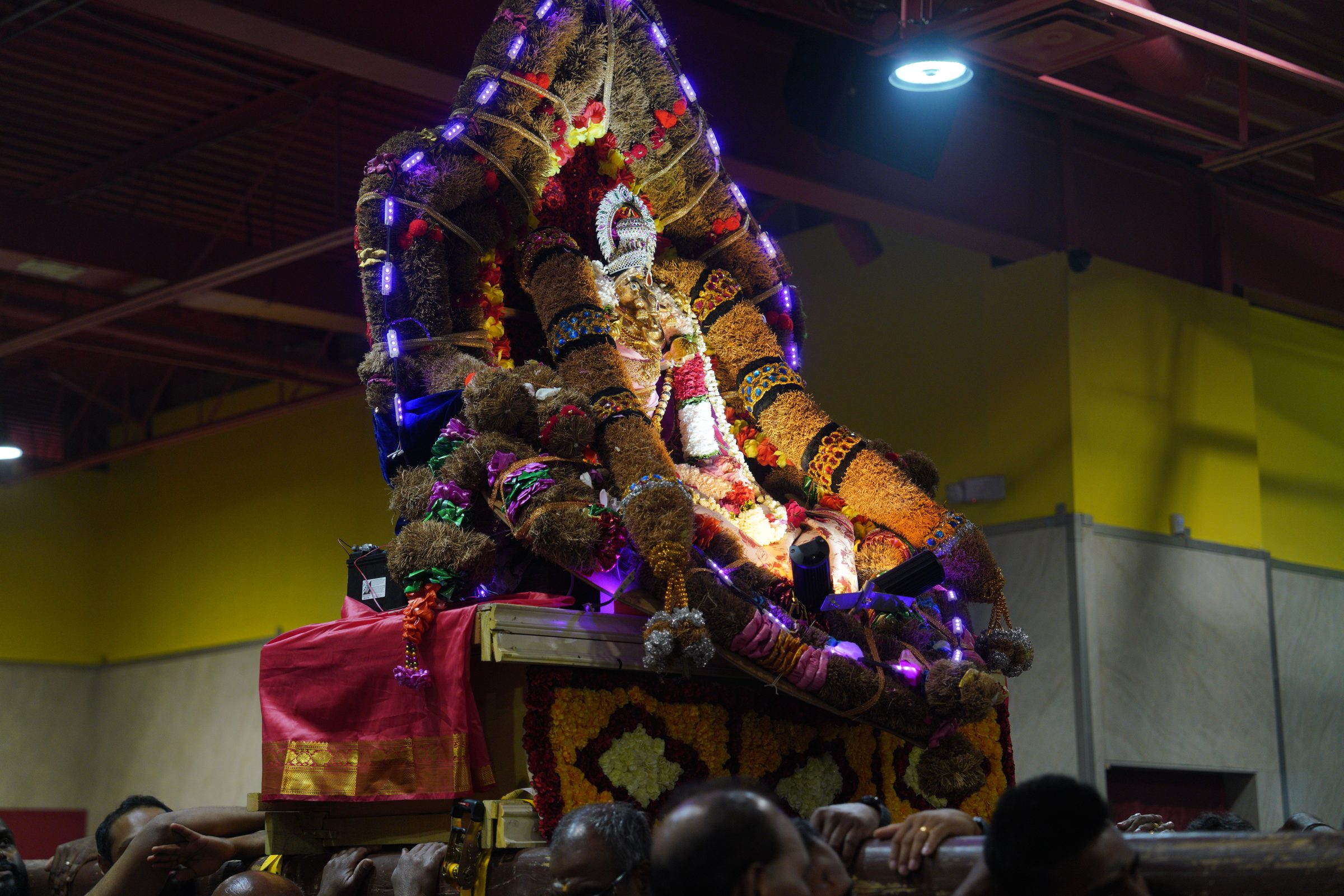 Festival 2026 photo
