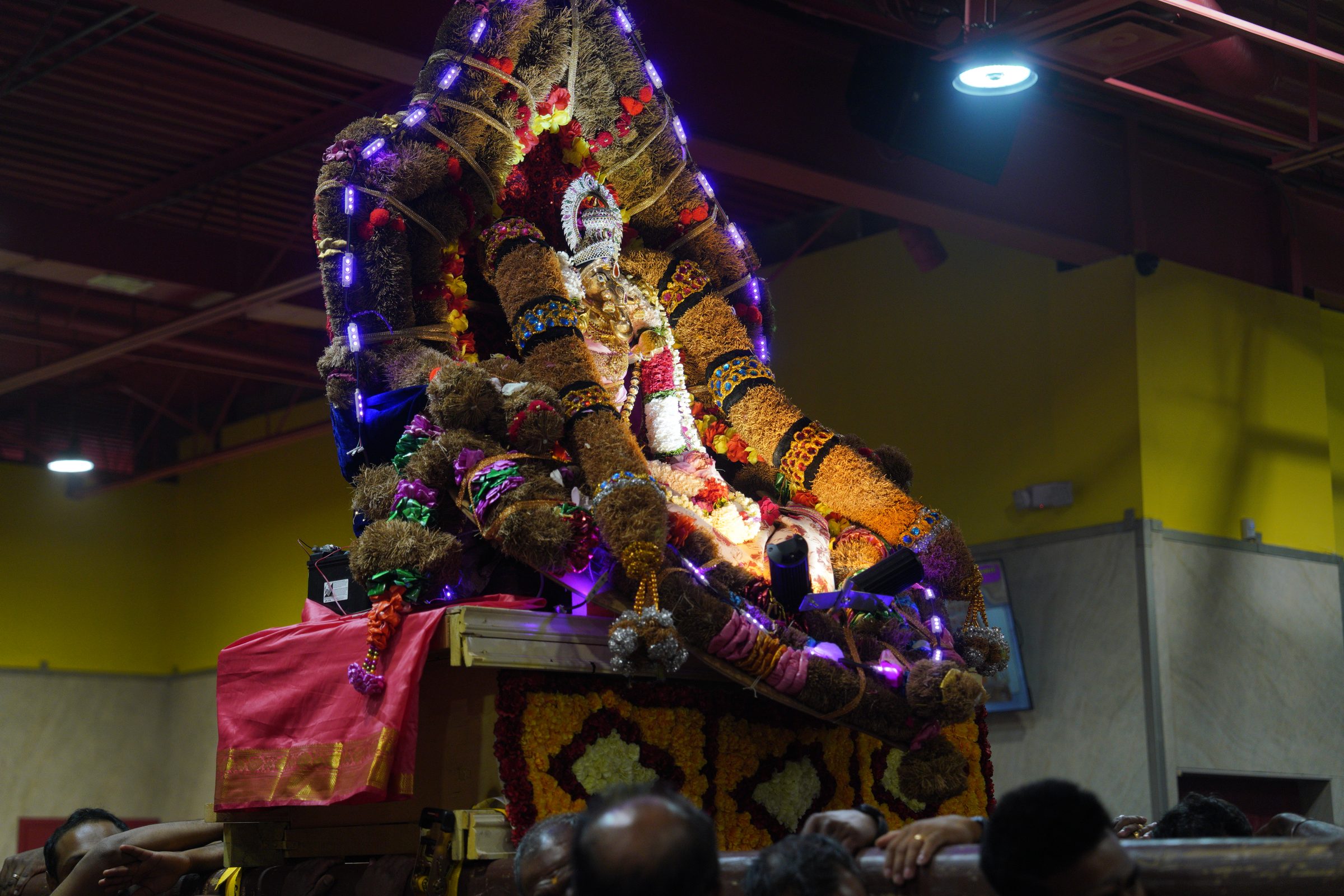 Festival 2026 photo
