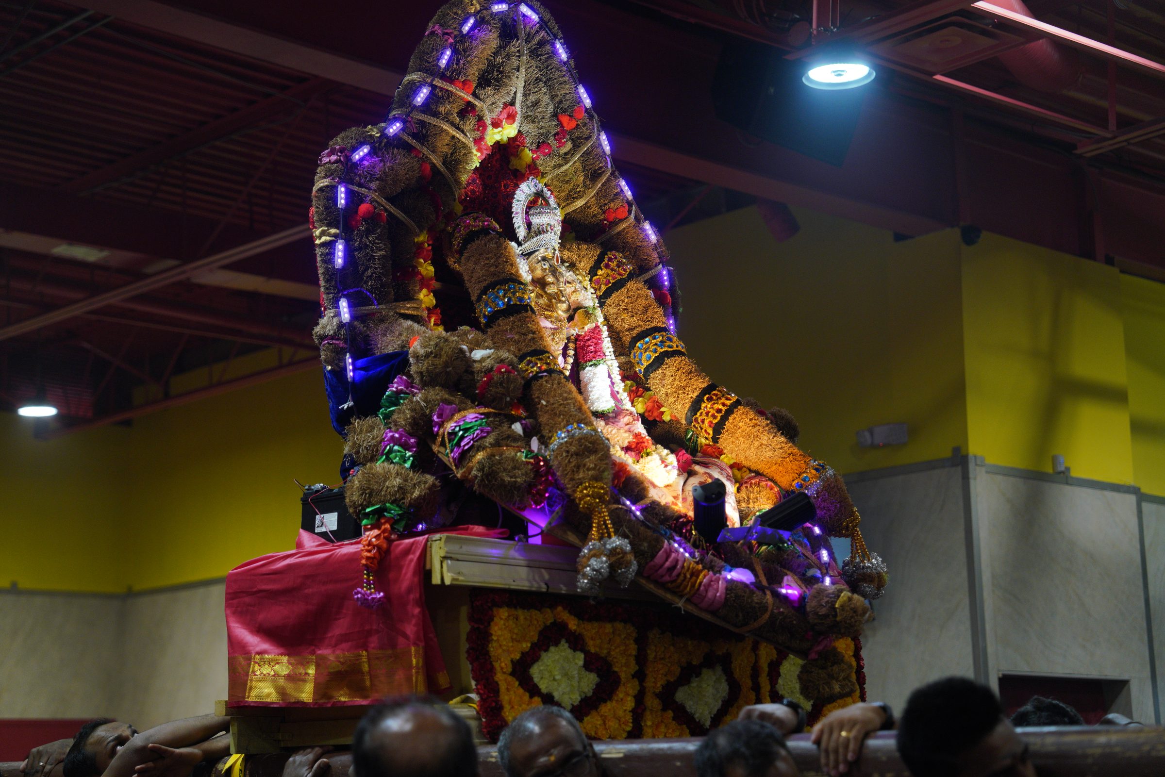 Festival 2026 photo