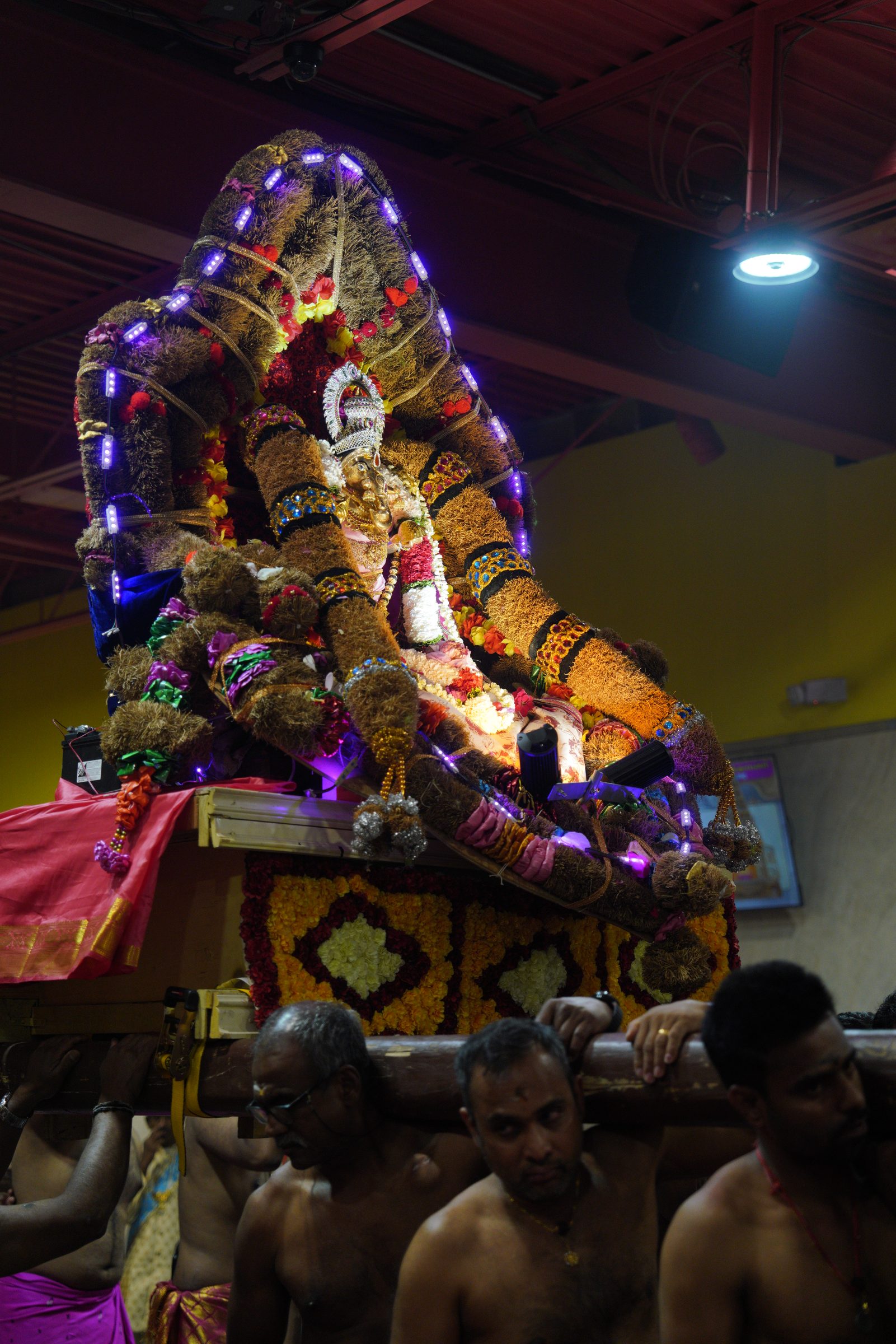 Festival 2026 photo