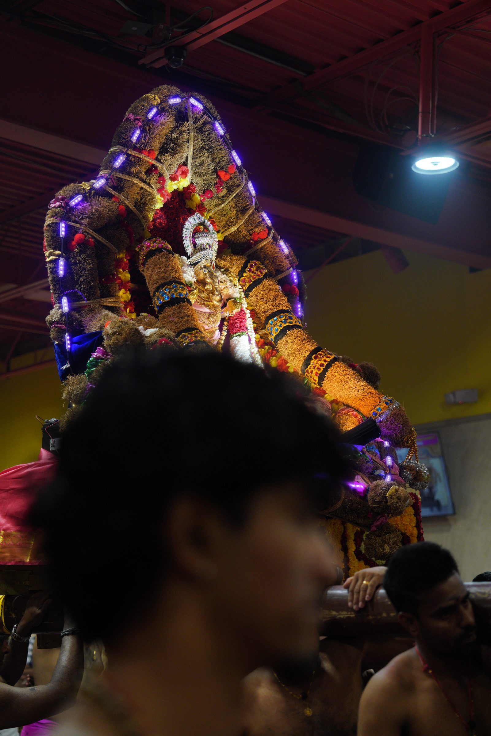 Festival 2026 photo