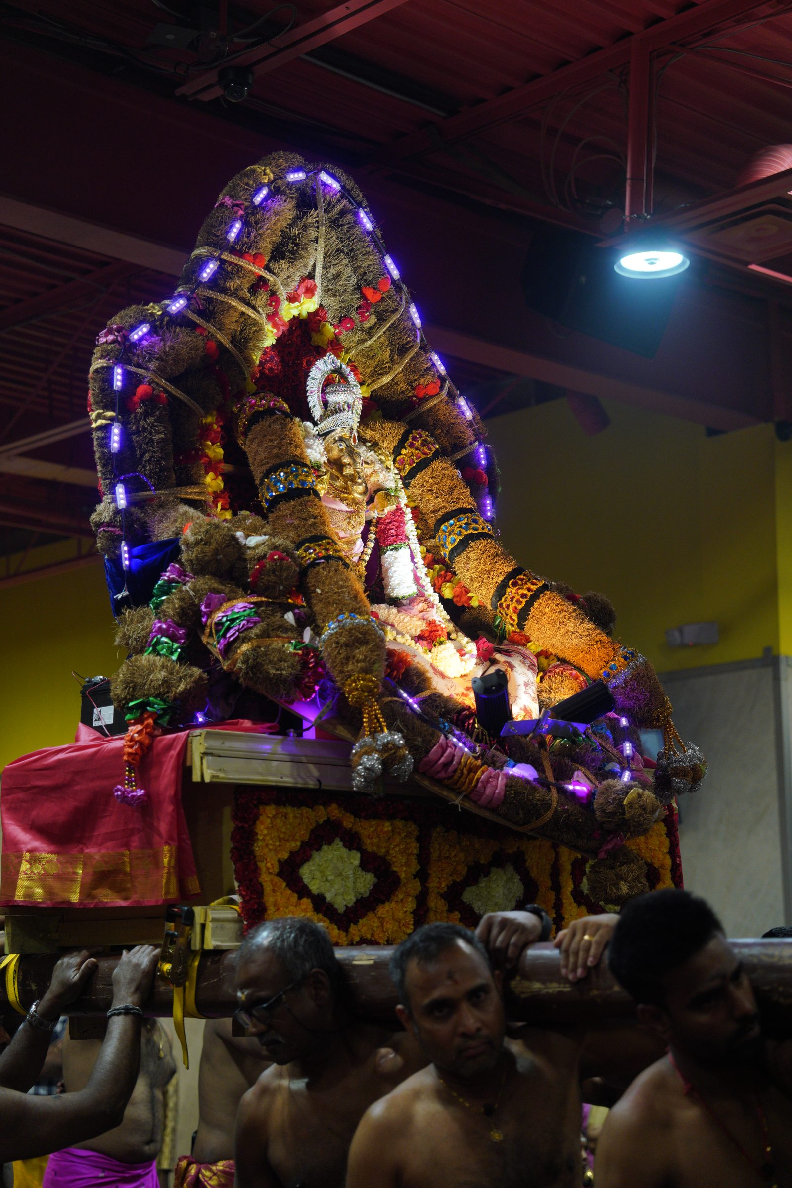 Festival 2026 photo