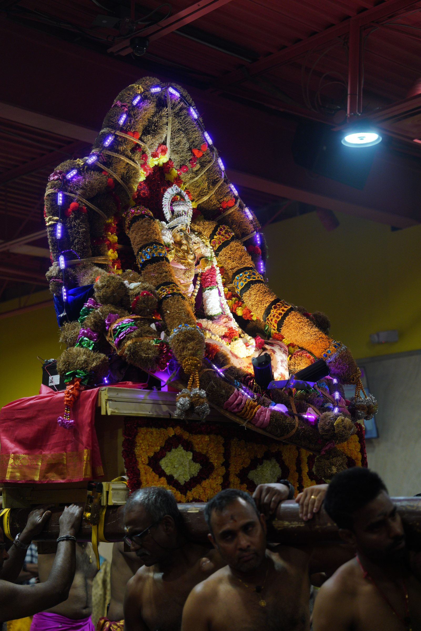 Festival 2026 photo