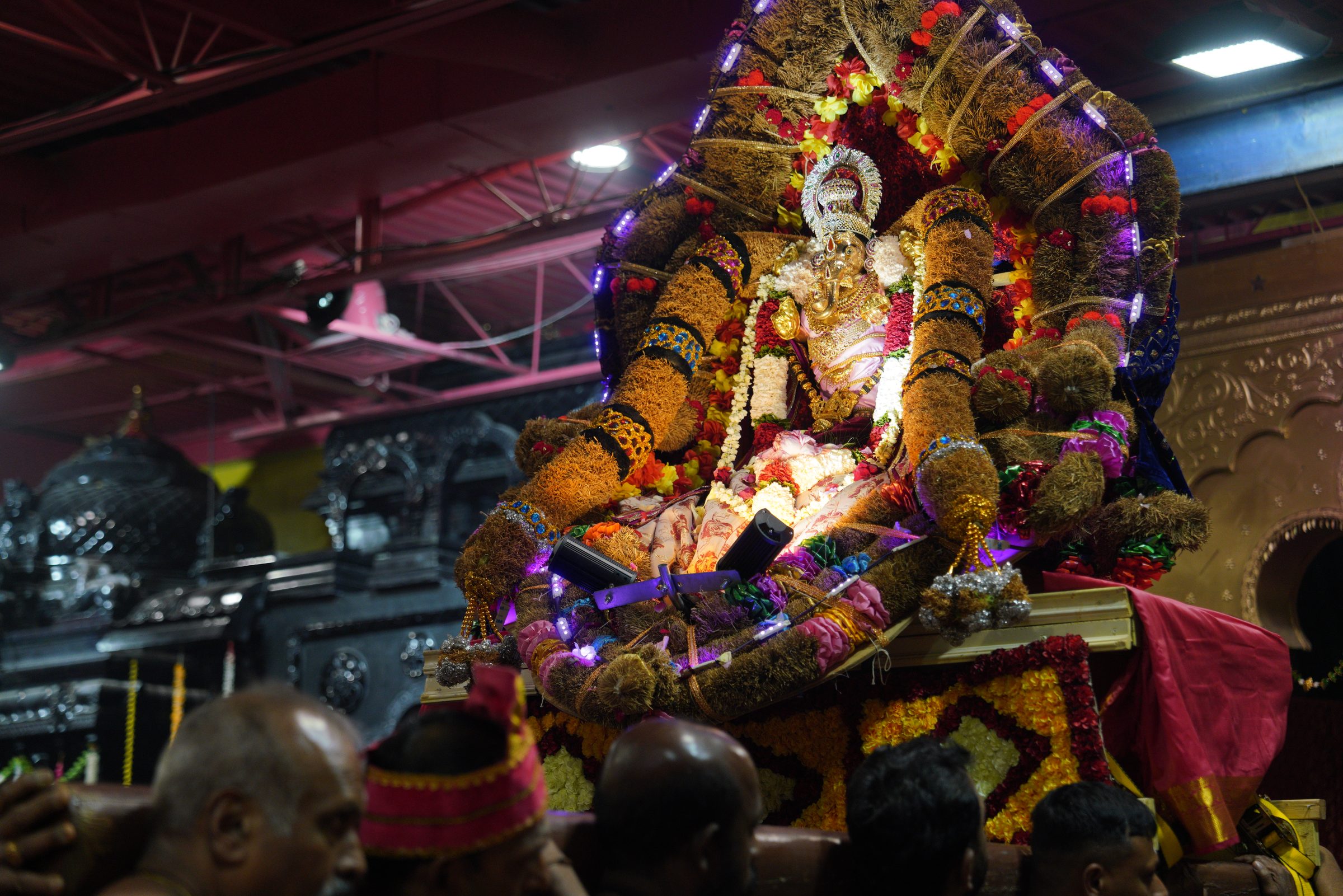 Festival 2026 photo