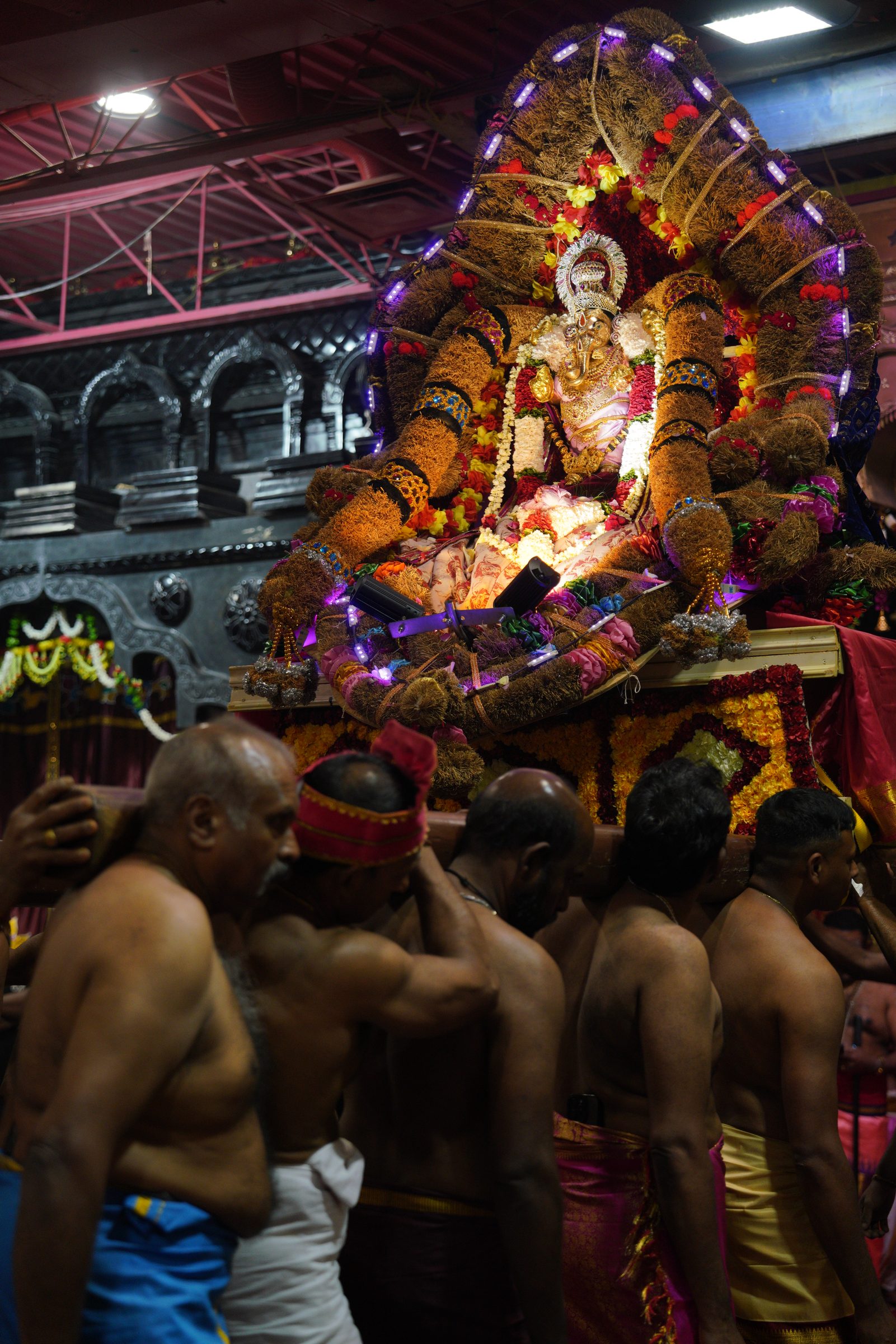 Festival 2026 photo
