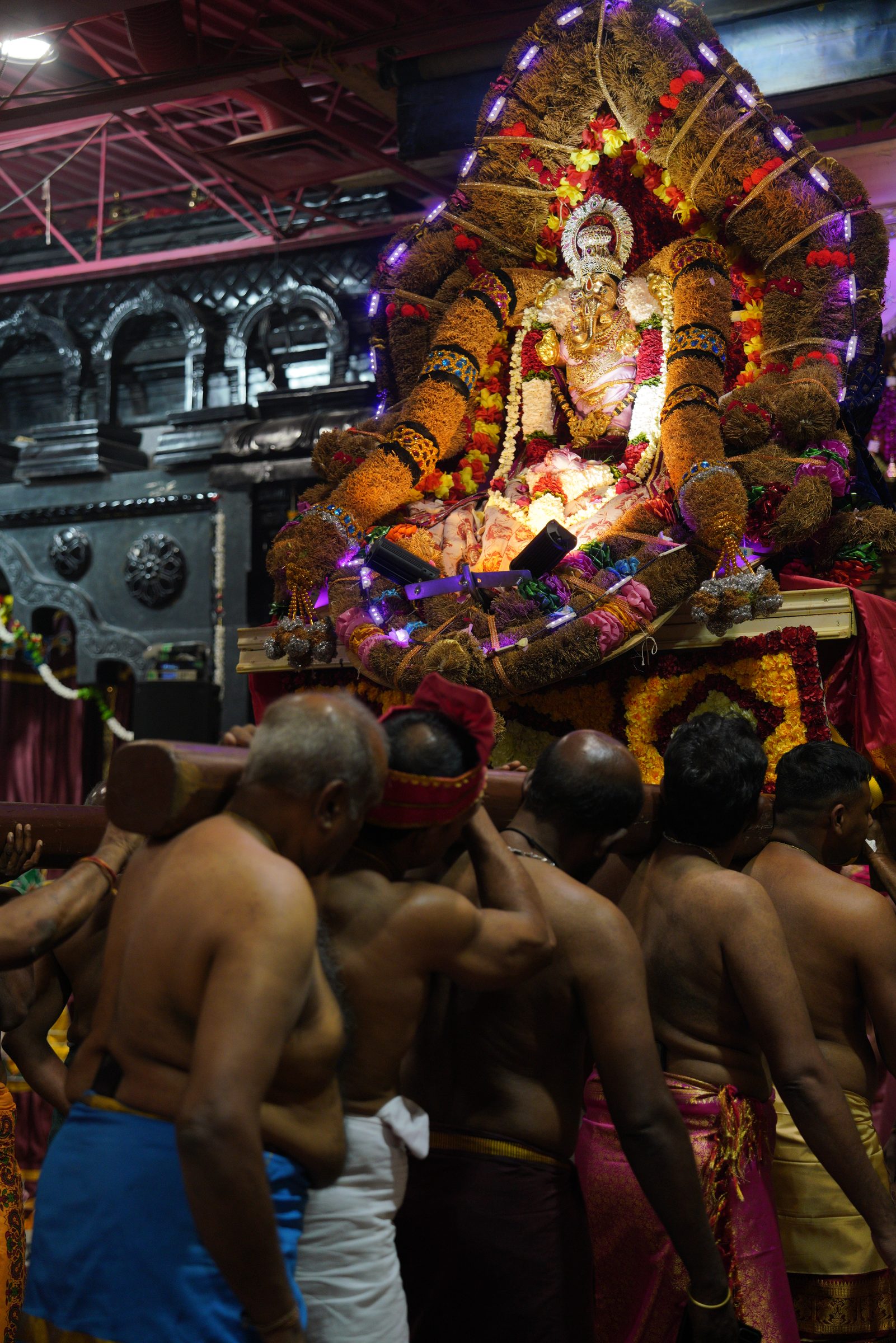 Festival 2026 photo