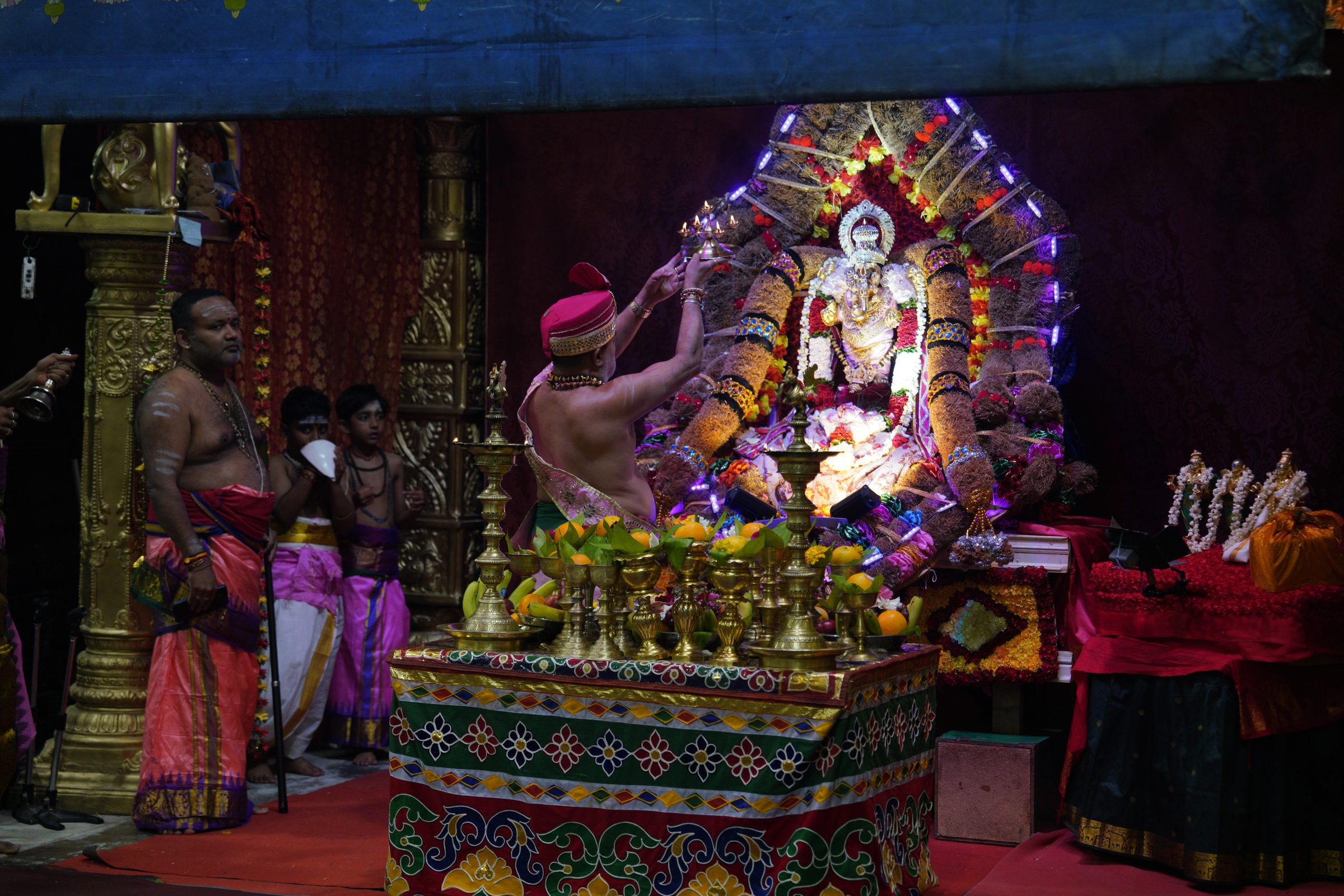 Festival 2026 photo