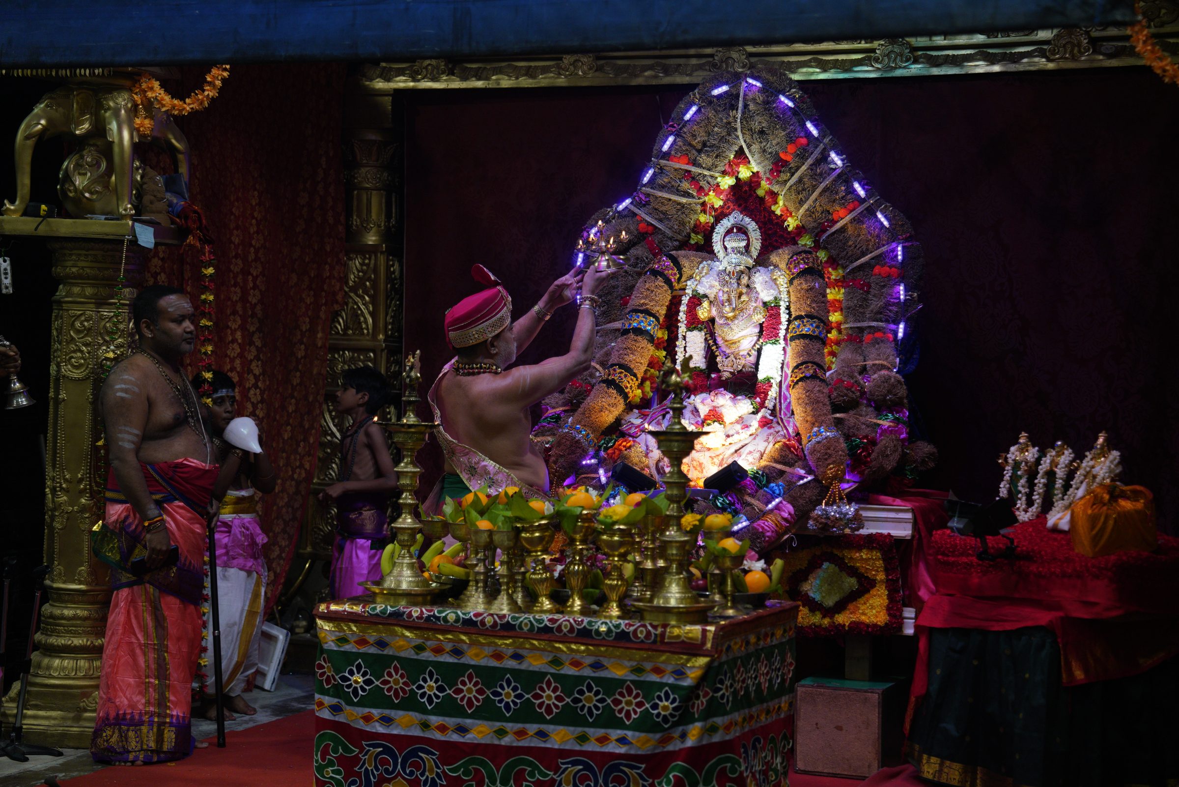 Festival 2026 photo