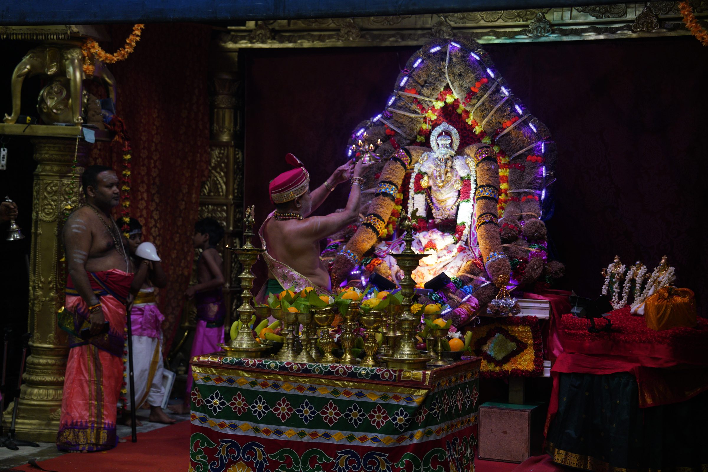 Festival 2026 photo