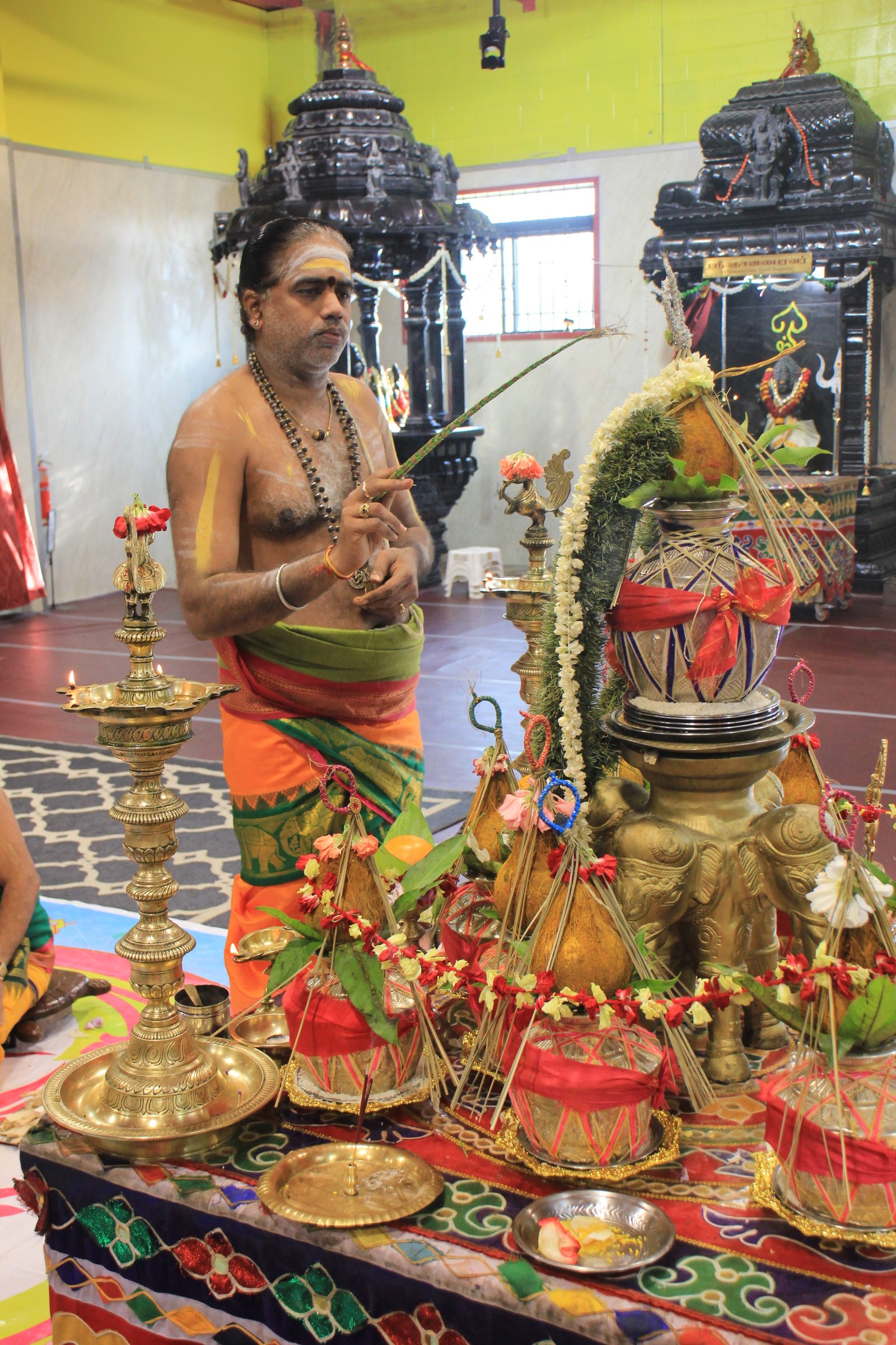 Festival 2026 photo
