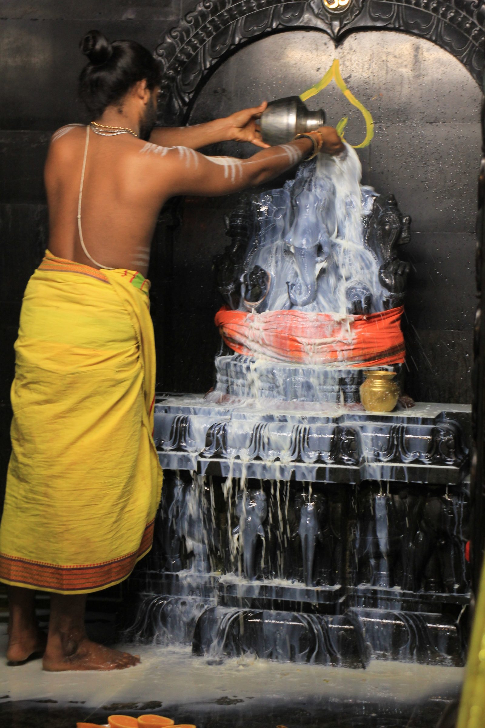 Festival 2026 photo