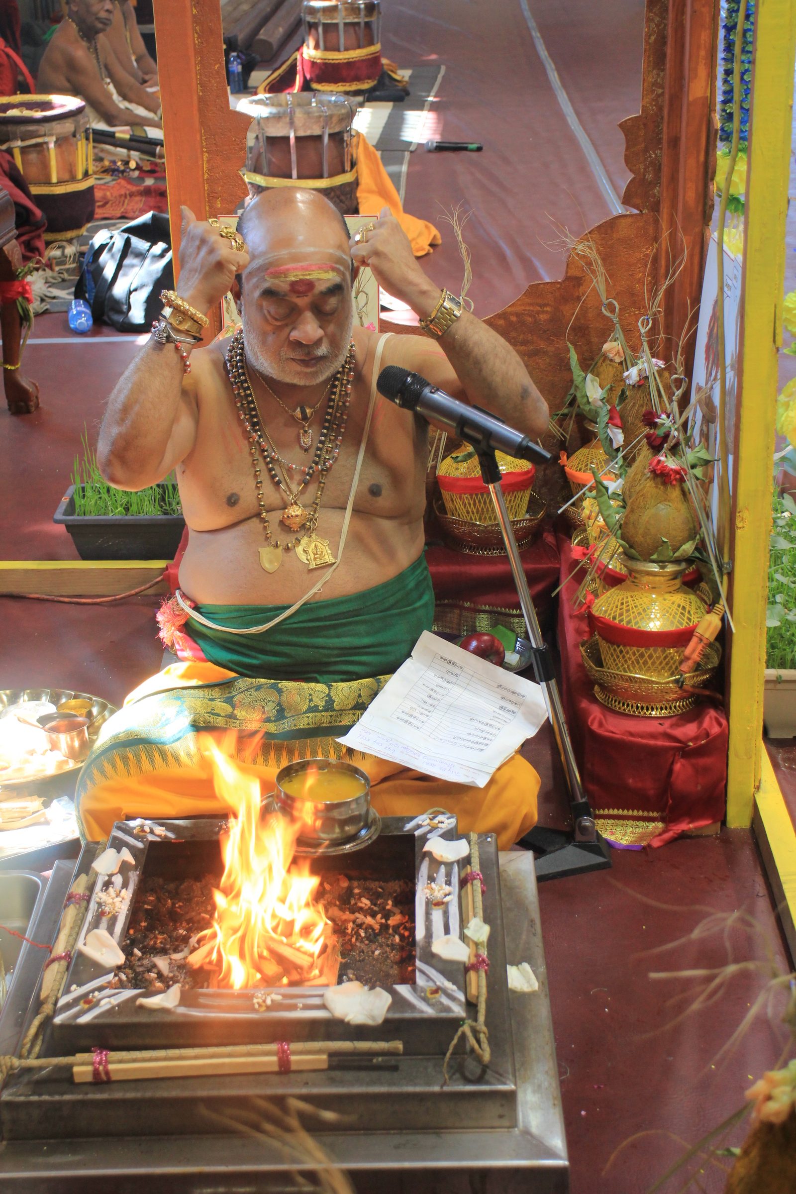 Festival 2026 photo