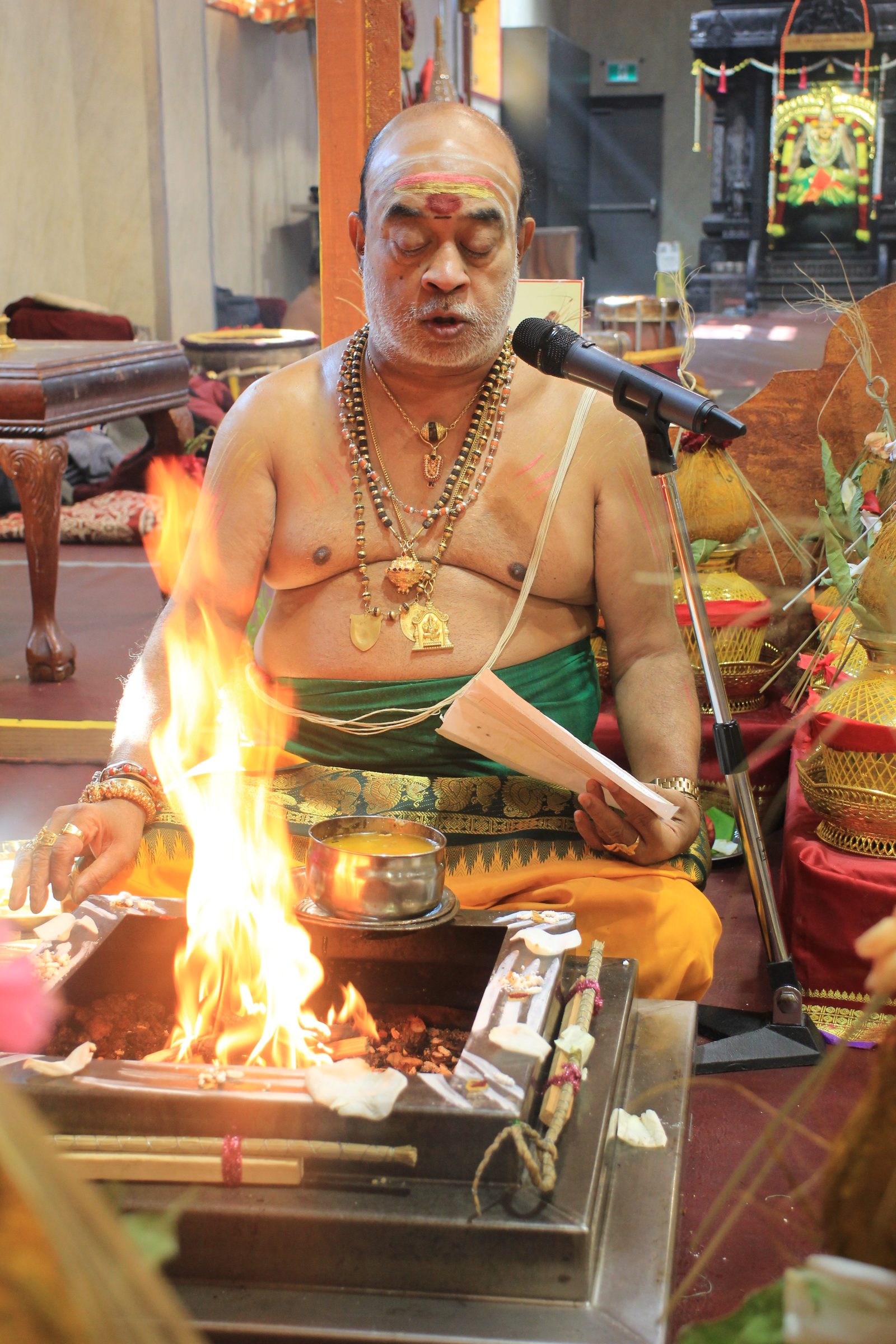 Festival 2026 photo