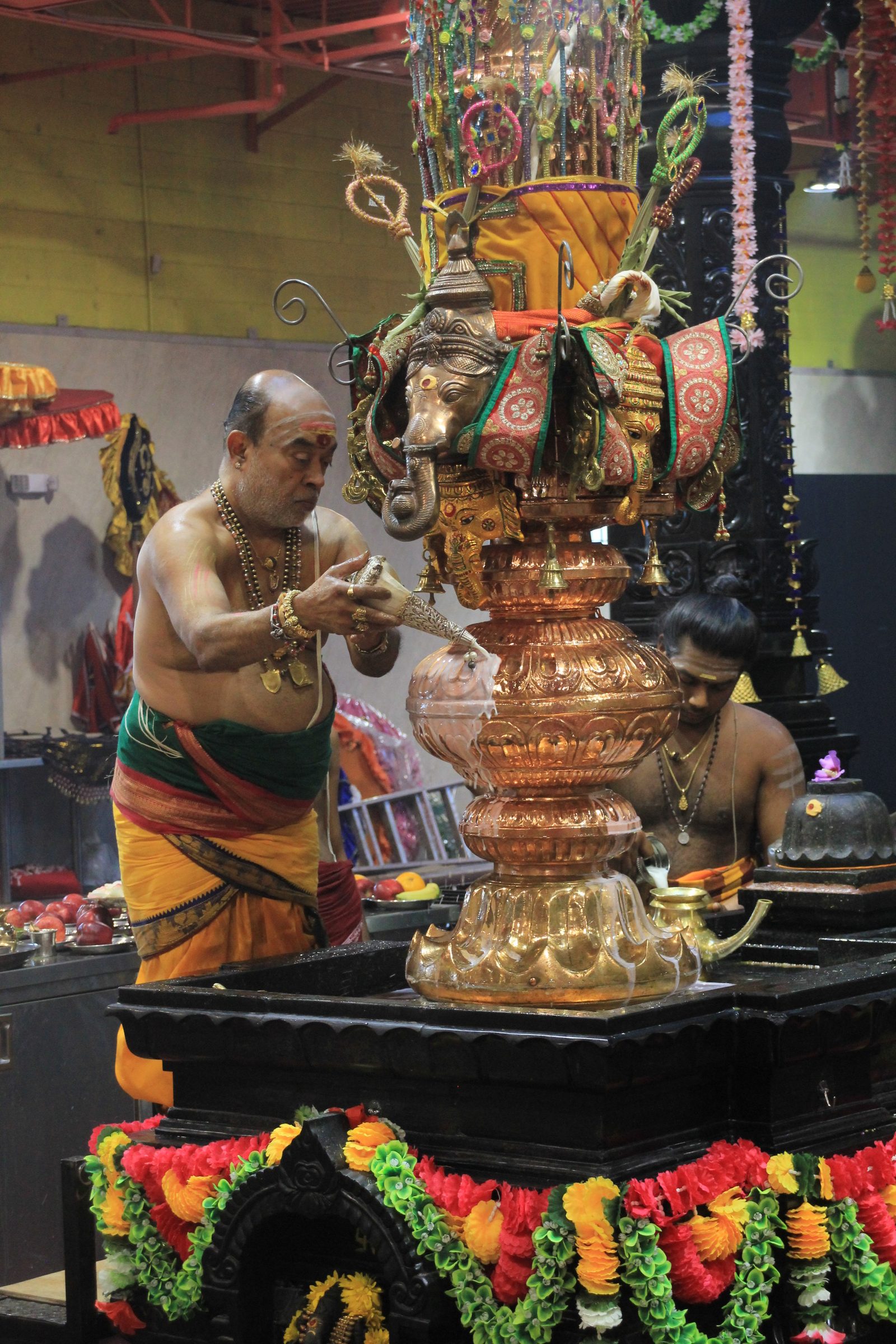 Festival 2026 photo