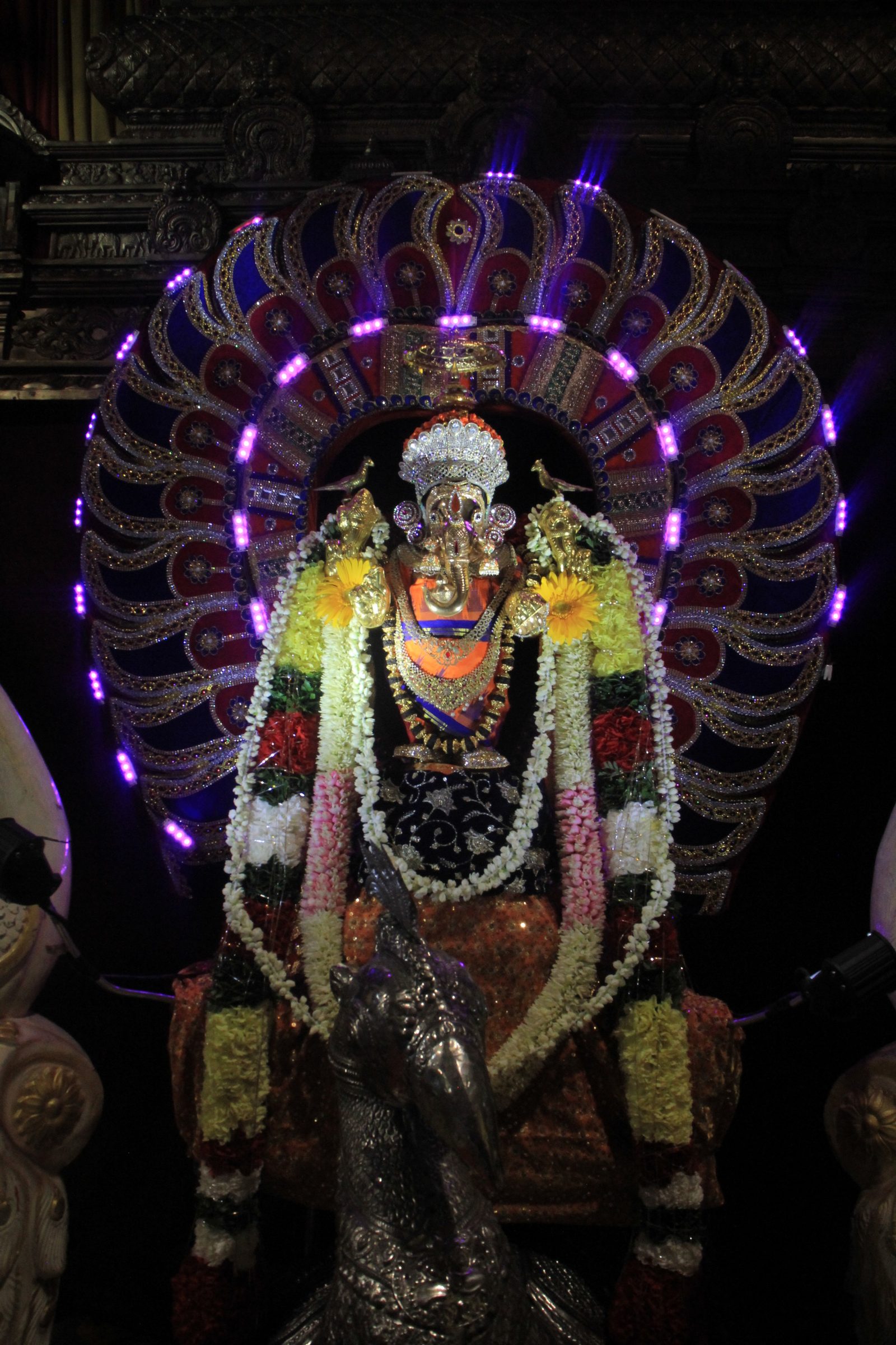 Festival 2026 photo