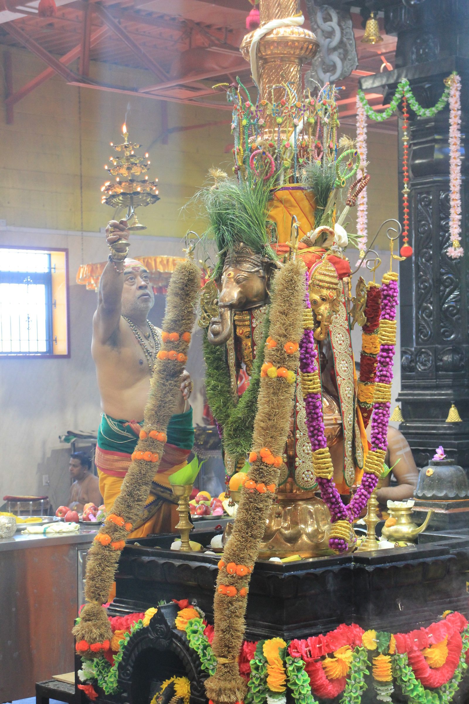 Festival 2026 photo
