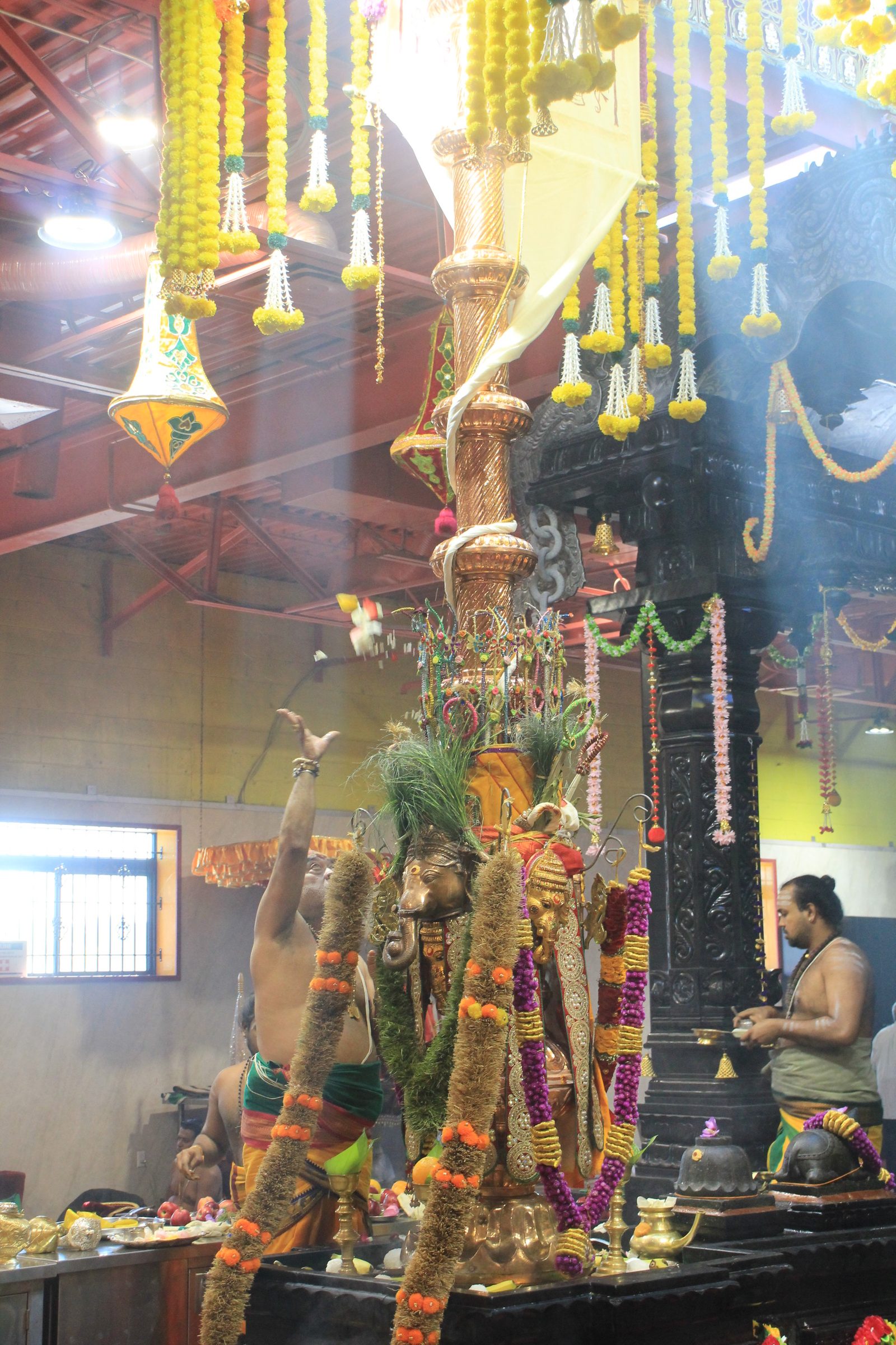 Festival 2026 photo