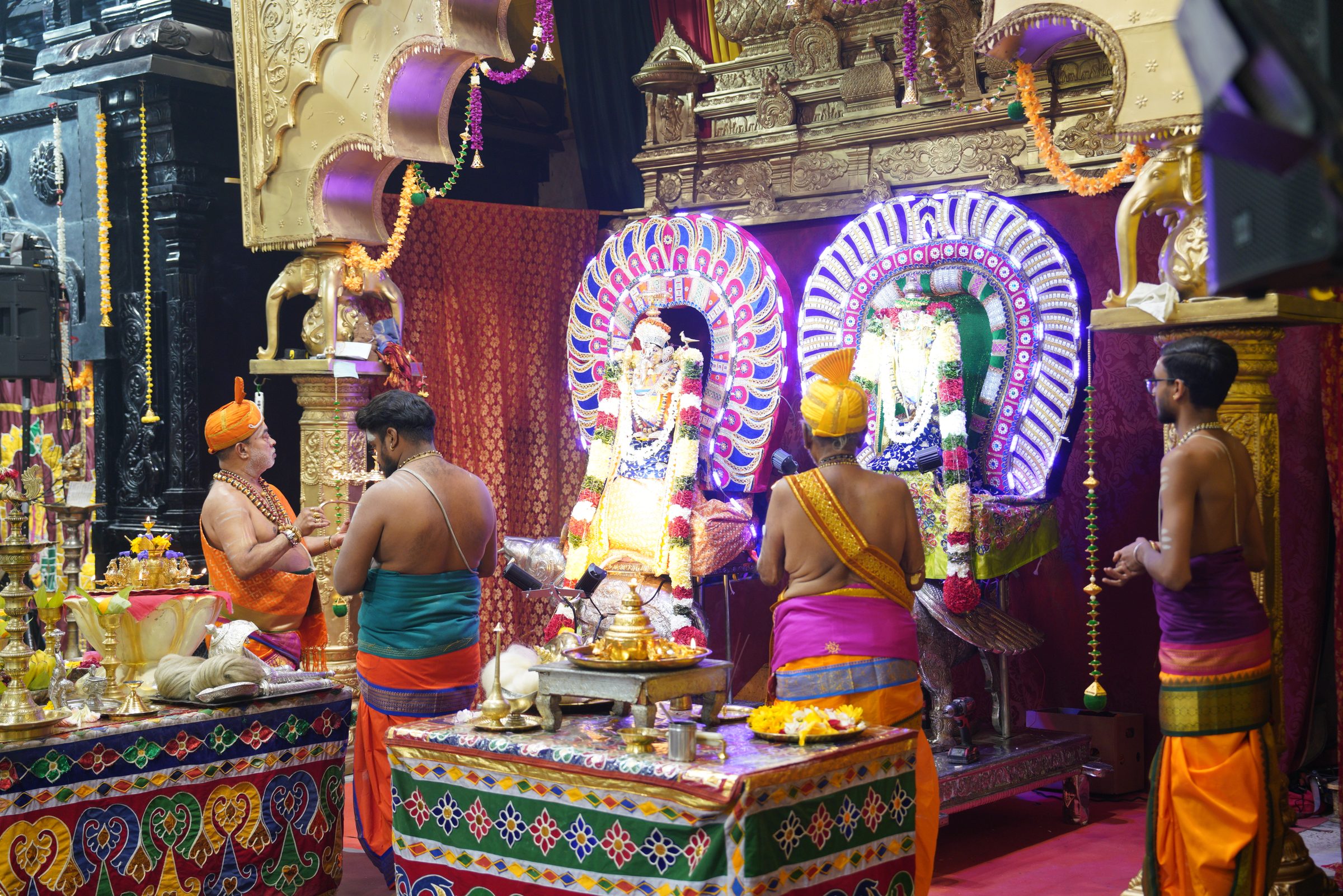 Festival 2026 photo