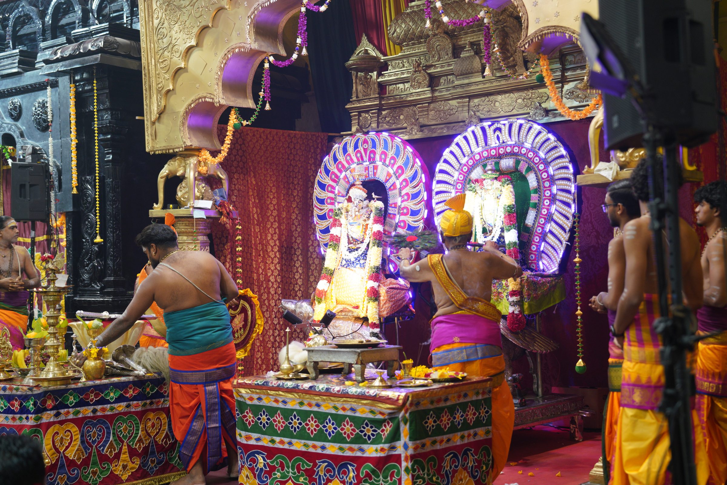 Festival 2026 photo